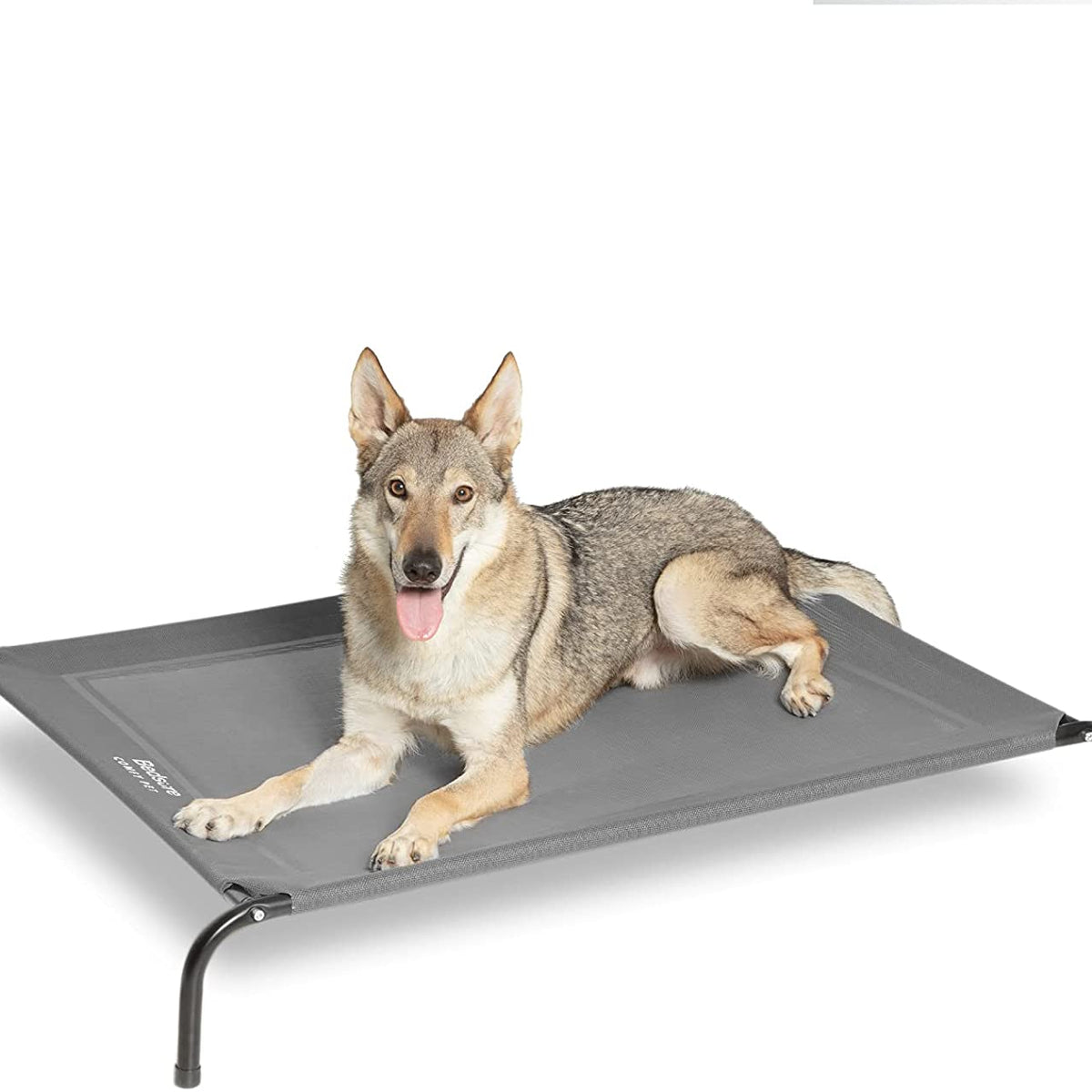 El Suelo Porque El Perro Rasca La Cama Acostarse Por Qué Mi Perro