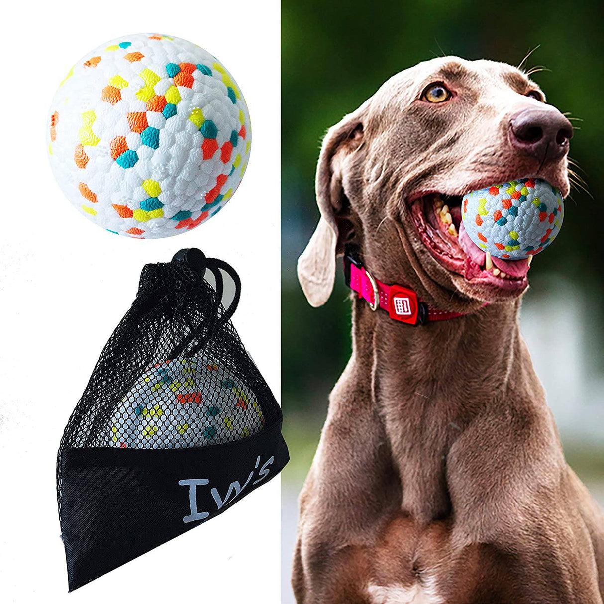 IVY´S - Pelota para perros Pelotas de juguete duraderas para perros, resistentes a las mordeduras Perros interactivos de alta elasticidad Juguetes para mascotas Pelotas de ejercicio - DIGVICE MX