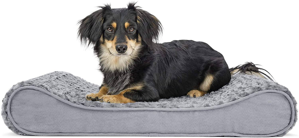 Furhaven Camas ortopédicas, de gel y de espuma viscoelástica para perros pequeños, medianos y grandes - Colchón ergonómico Contour Luxe Lounger Dog Bed y más MEDIUM - DIGVICE MX