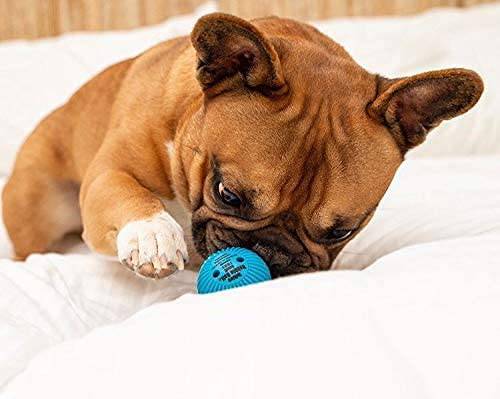 Pet Qwerks - Juguete interactivo para perros - DIGVICE MX