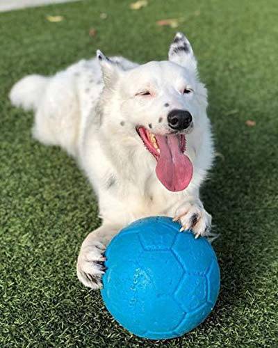 Jolly Pets - Pelota de fútbol flotante para perro - DIGVICE MX