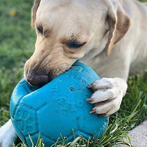 Jolly Pets - Pelota de fútbol flotante para perro - DIGVICE MX