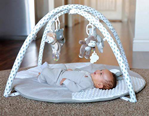 Gabby Grove Gentle Jungle - Gimnasio educativo para actividades de bebé y alfombrilla de juego infantil en gris, regalo de ducha para recién nacido con espejo, almohada para el tiempo boca abajo y juguetes en tonos neutros gris, blanco y crema - DIGVICE MX