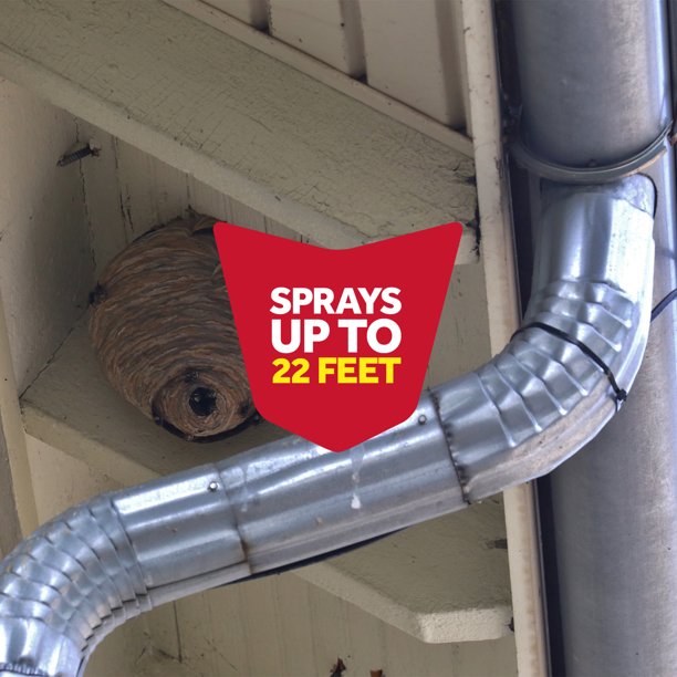 Raid Insecticida para avispas y avispones 33 14 oz. 2 paquetes