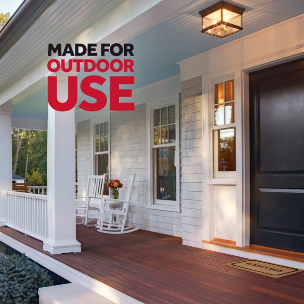 Raid Insecticida para avispas y avispones 33 14 oz. 2 paquetes