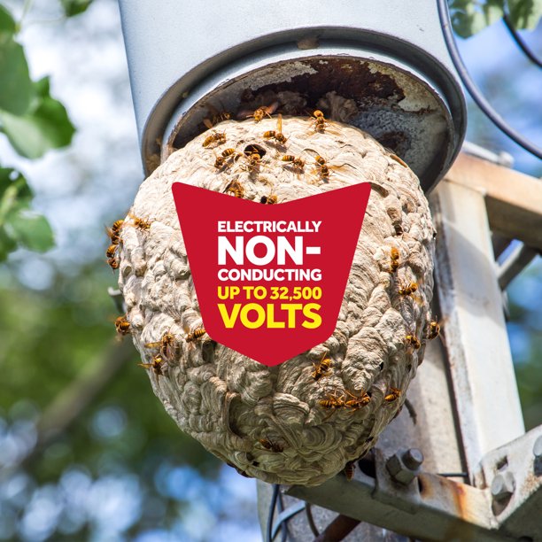 Raid Insecticida para avispas y avispones 33 14 oz. 2 paquetes