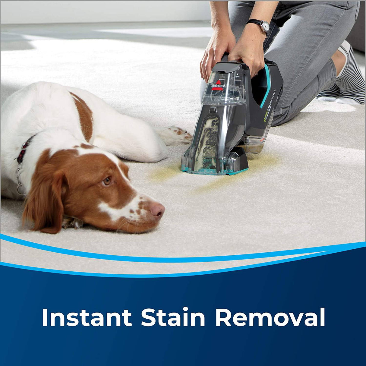 Bissell Pet Stain Eraser PowerBrush, 2837