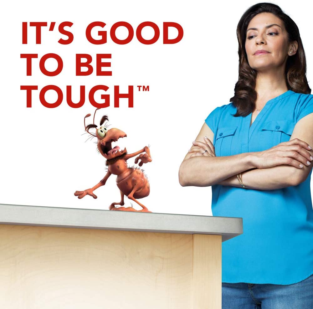 Raid Ant Baits 0.24oz 8 Trampas