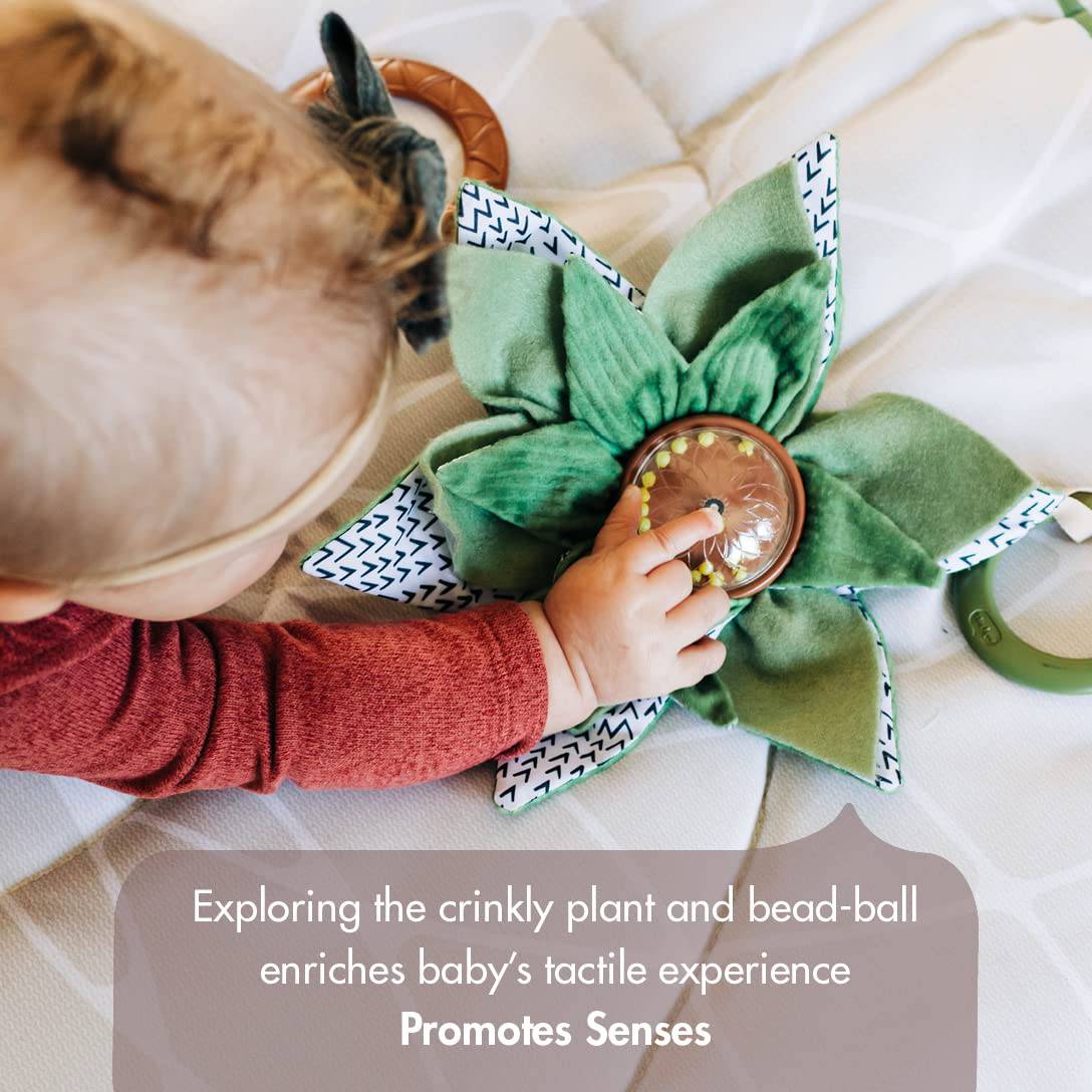 Tiny Love Boho Chic Gymini con espejo y juguetes desmontables, gimnasio de desarrollo y tapete de juegos para bebés, recién nacidos y bebés - DIGVICE MX