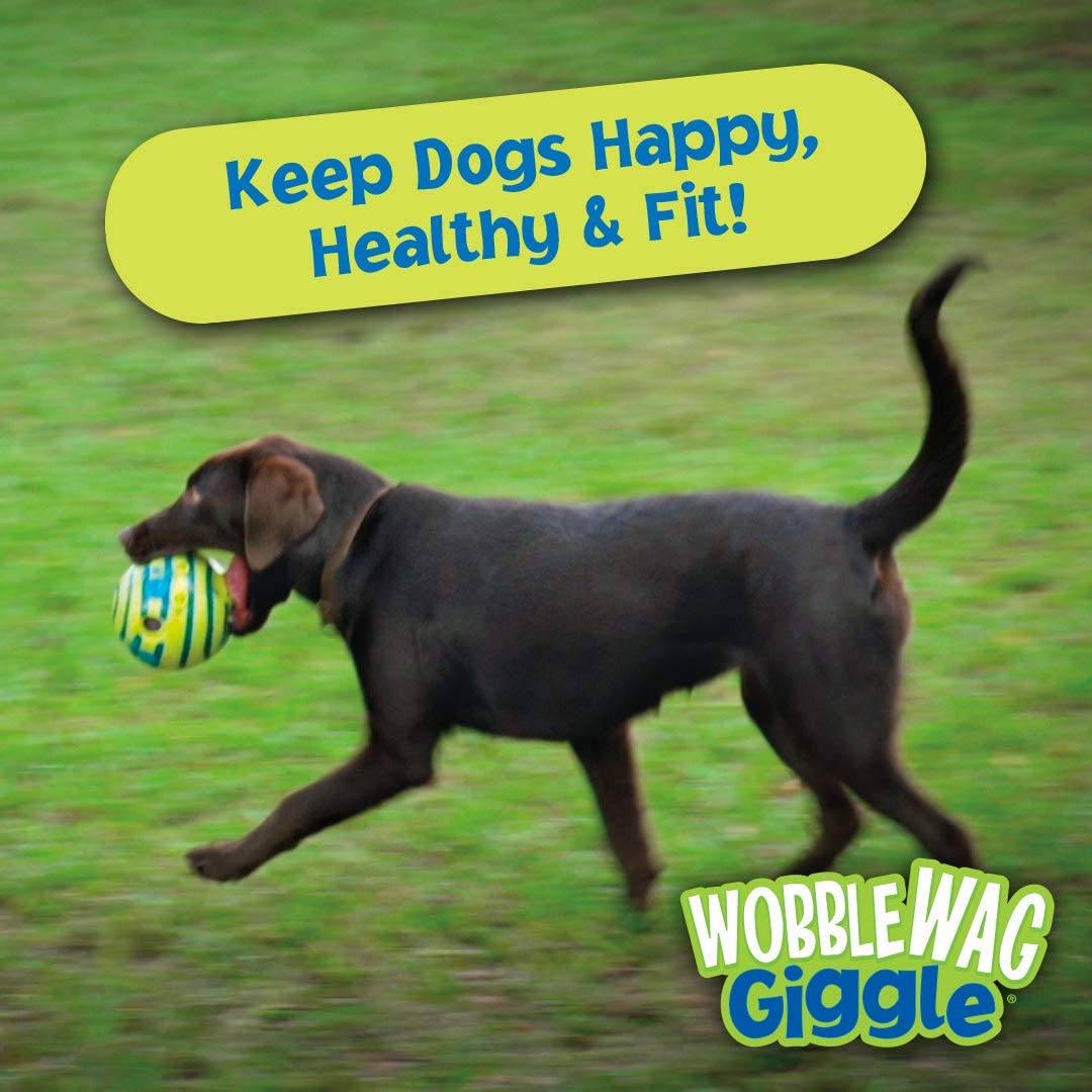 Wobble Wag Giggle Ball, juguete interactivo para perros, divertidos sonidos de risa cuando se enrolla o agita. - DIGVICE MX