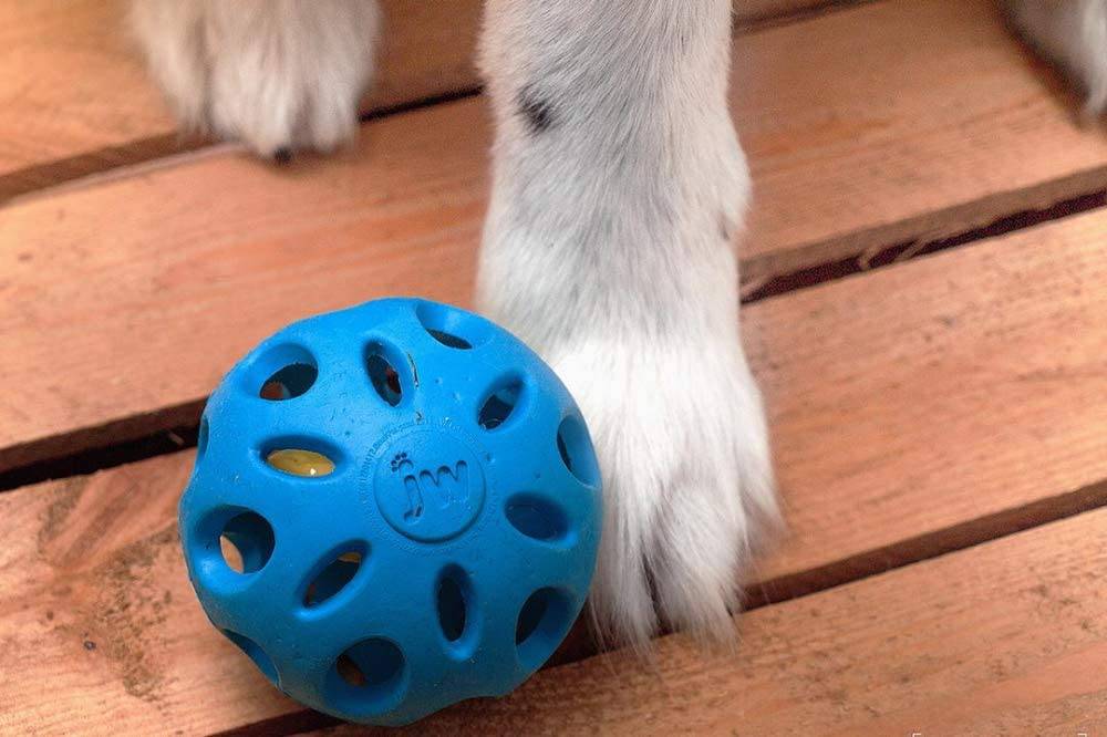 JW Pet Crackle Heads Crackle Ball Pelota para perros - DIGVICE MX