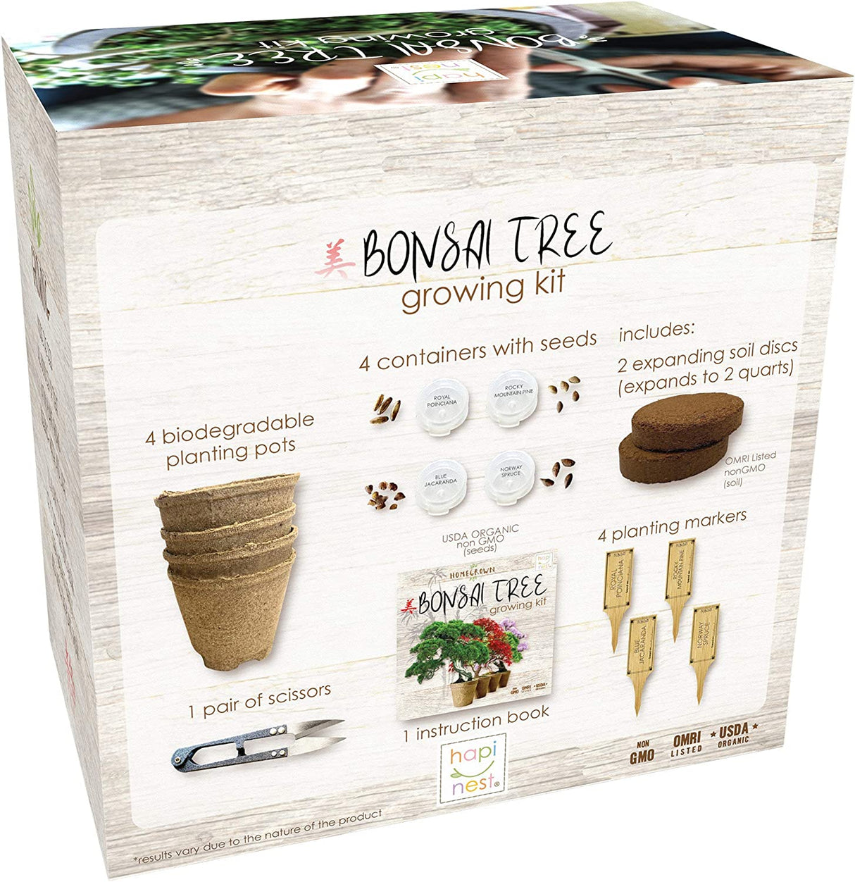 Hapinest Bonsai Tree Indoor Starter Kit 4 tipos de semillas de árboles Bonsai