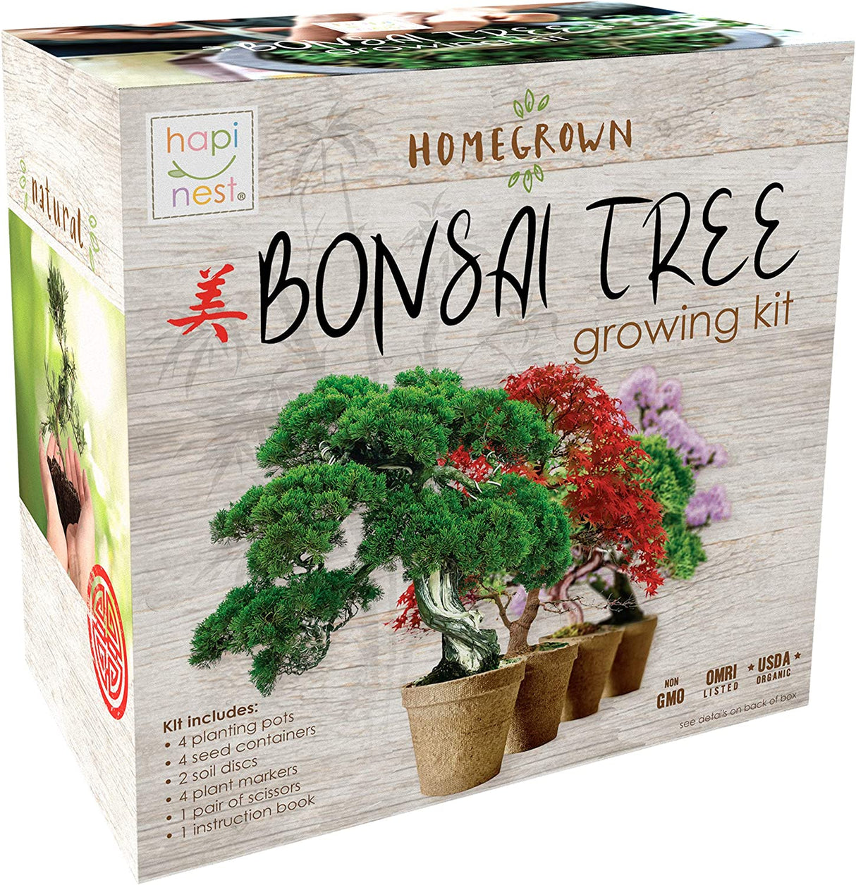Hapinest Bonsai Tree Indoor Starter Kit 4 tipos de semillas de árboles Bonsai