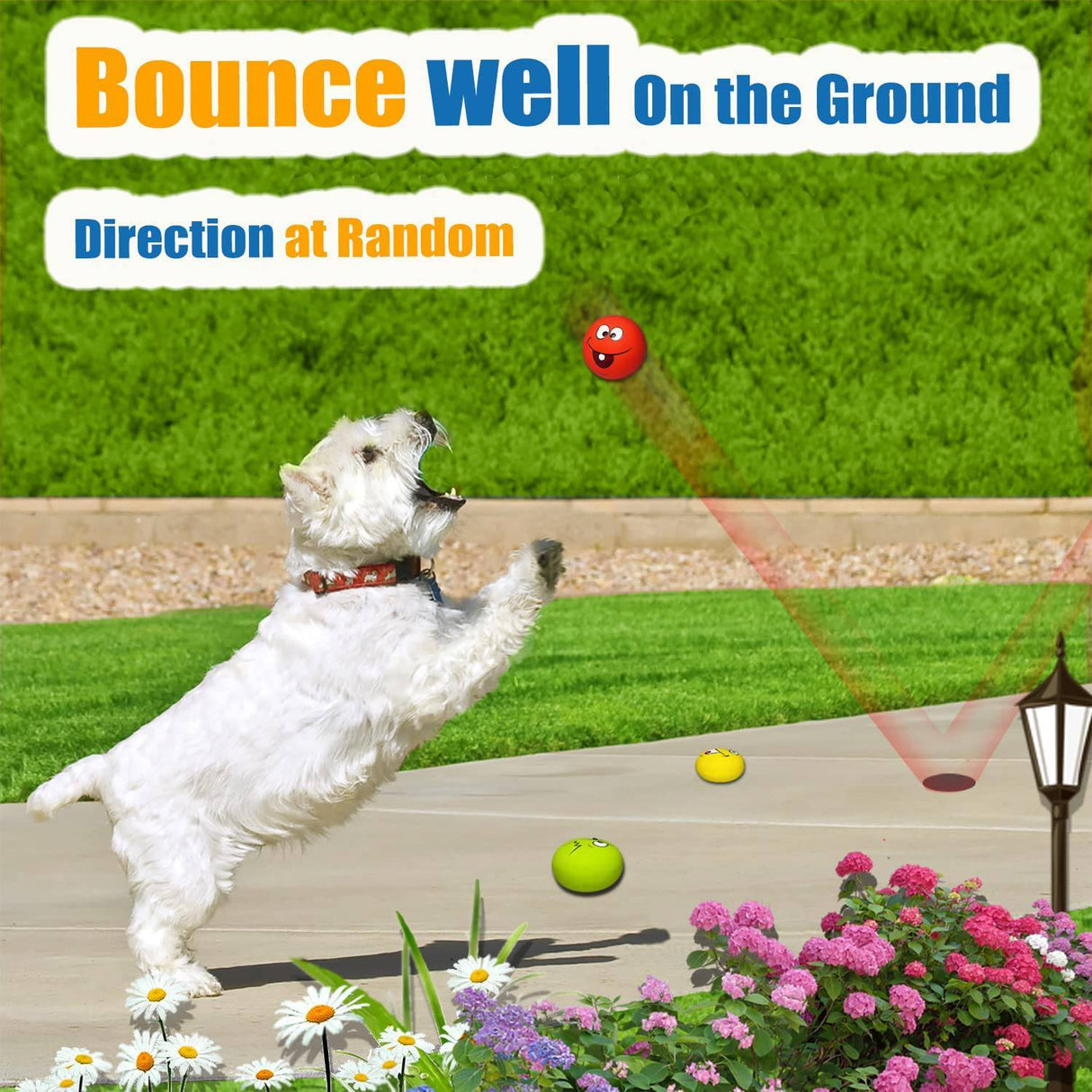 HOLYSTEED Latex Dog Squeaky Toys Rubber Soft Dog Toys Masticar Squeaky Toy Fetch Play Balls Toy para cachorros Mascotas pequeñas Perro 6pcs - DIGVICE MX