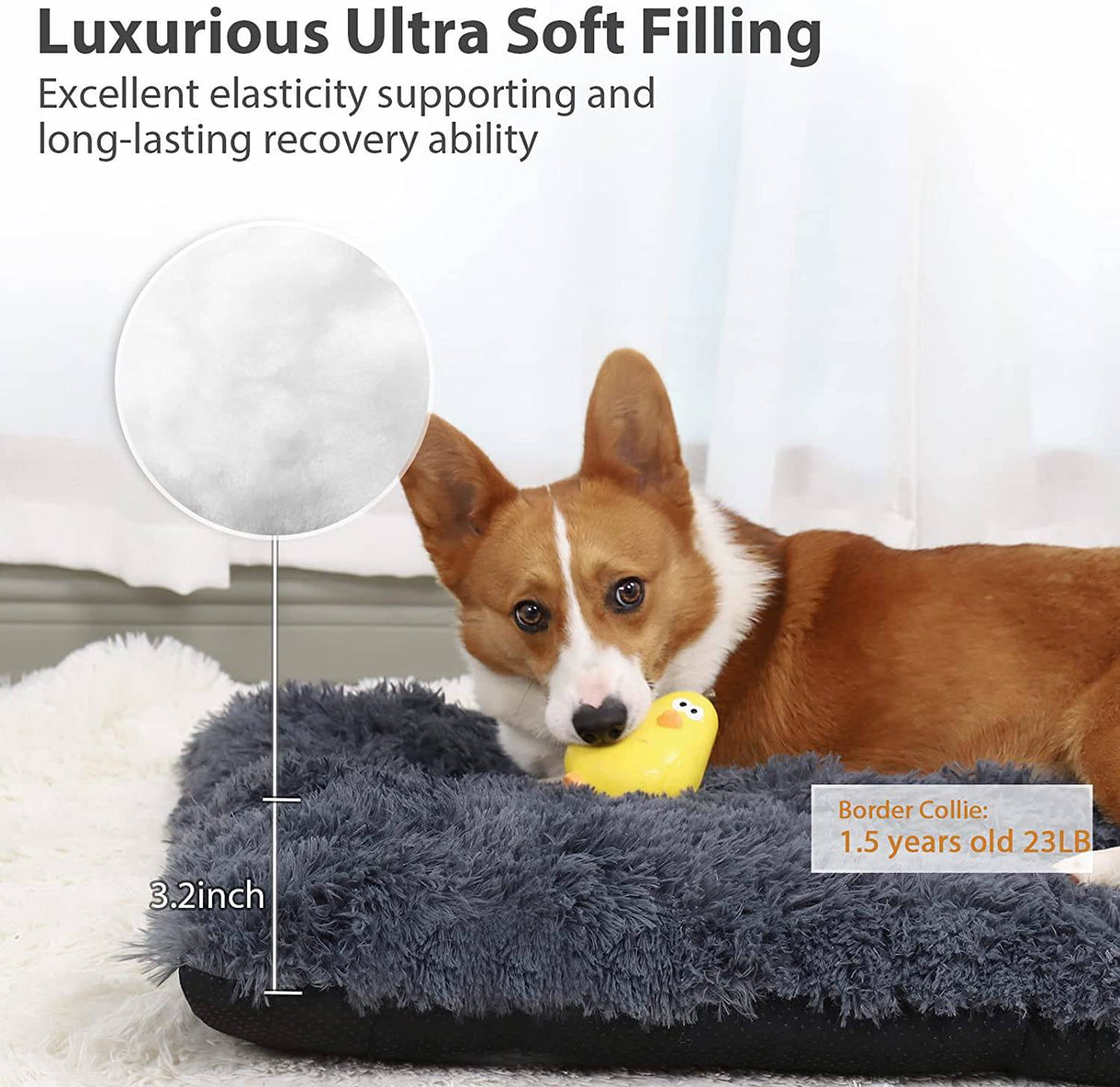 CHAMPETS - Almohadilla para cama de perro, camas para perros grandes, camas suaves de felpa de lujo para mascotas, funda extraíble lavable, alfombrilla resistente al agua para mascotas SMALL - DIGVICE MX