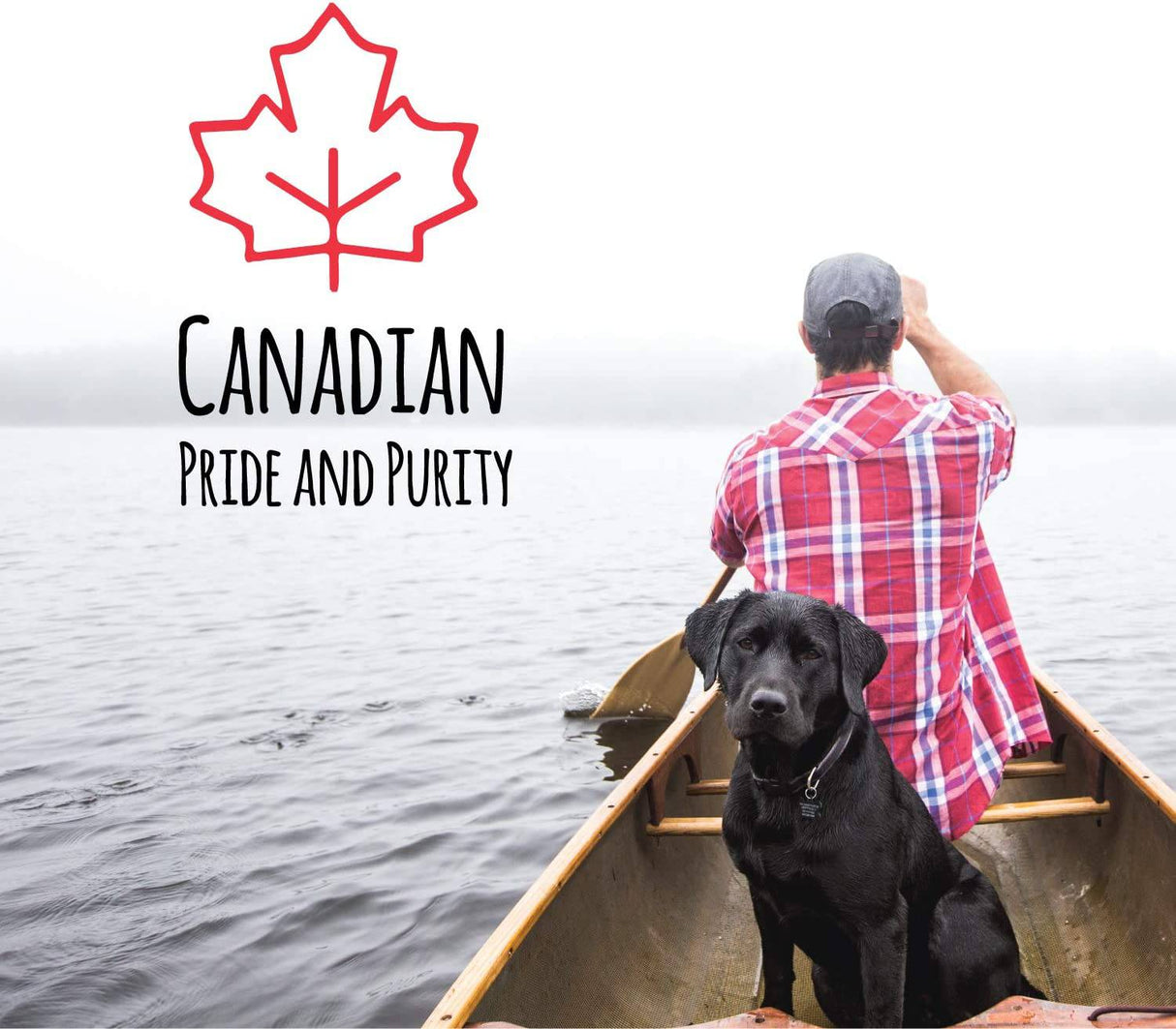 Norpur Golosinas para perros con orejas de cerdo | Snack de entrenamiento natural y saludable | Proteína carnosa, sabor horneado | Promover la salud dental | Hecho en Canadá - DIGVICE MX