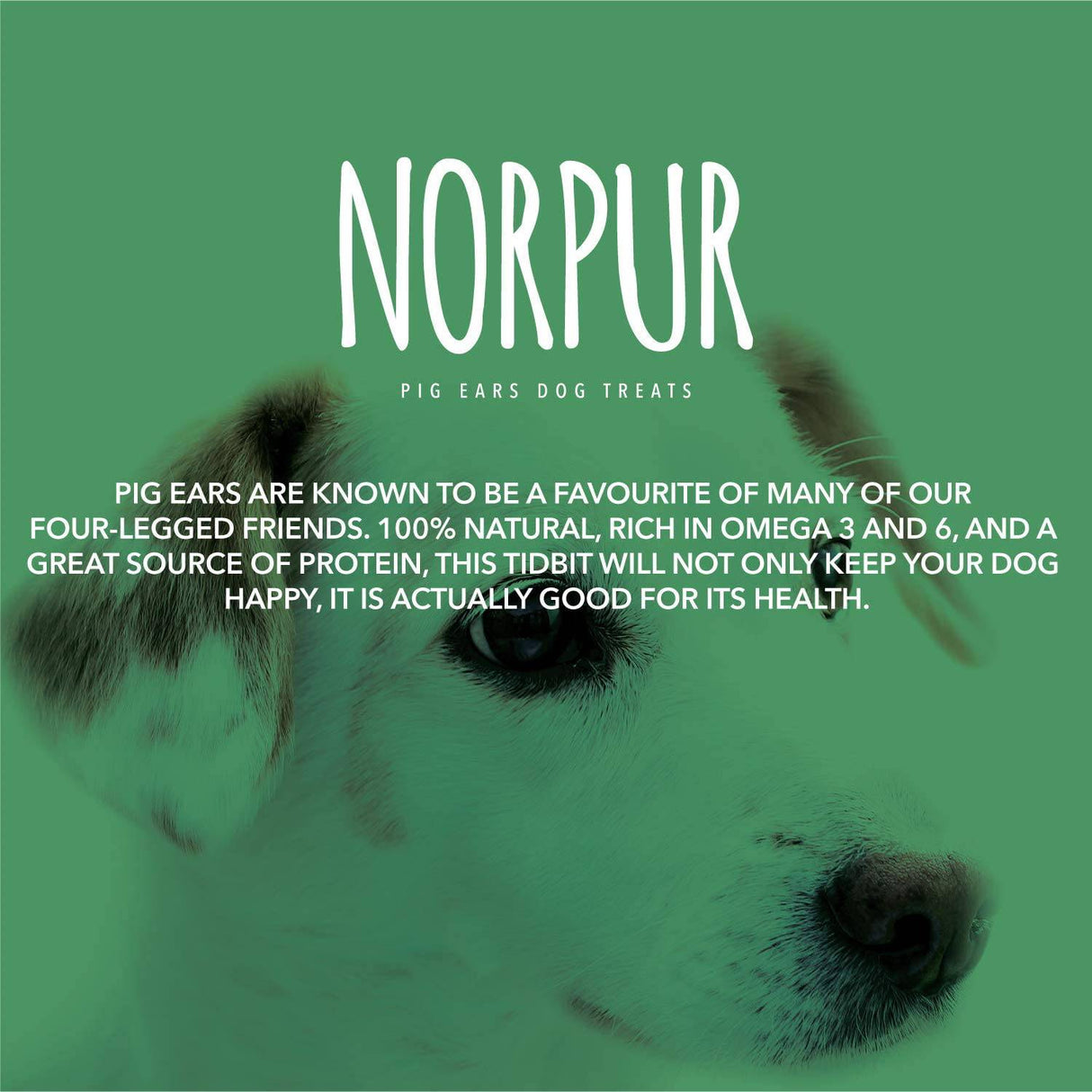 Norpur Golosinas para perros con orejas de cerdo | Snack de entrenamiento natural y saludable | Proteína carnosa, sabor horneado | Promover la salud dental | Hecho en Canadá - DIGVICE MX