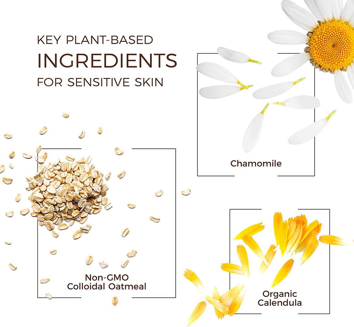 Babo Botanicals Baño y lavado de burbujas 2 en 1 hidratante a base de plantas - con caléndula orgánica y leche de avena natural - Para bebés, niños y adultos con piel sensible - Hipoalergénico y vegano - 15 oz