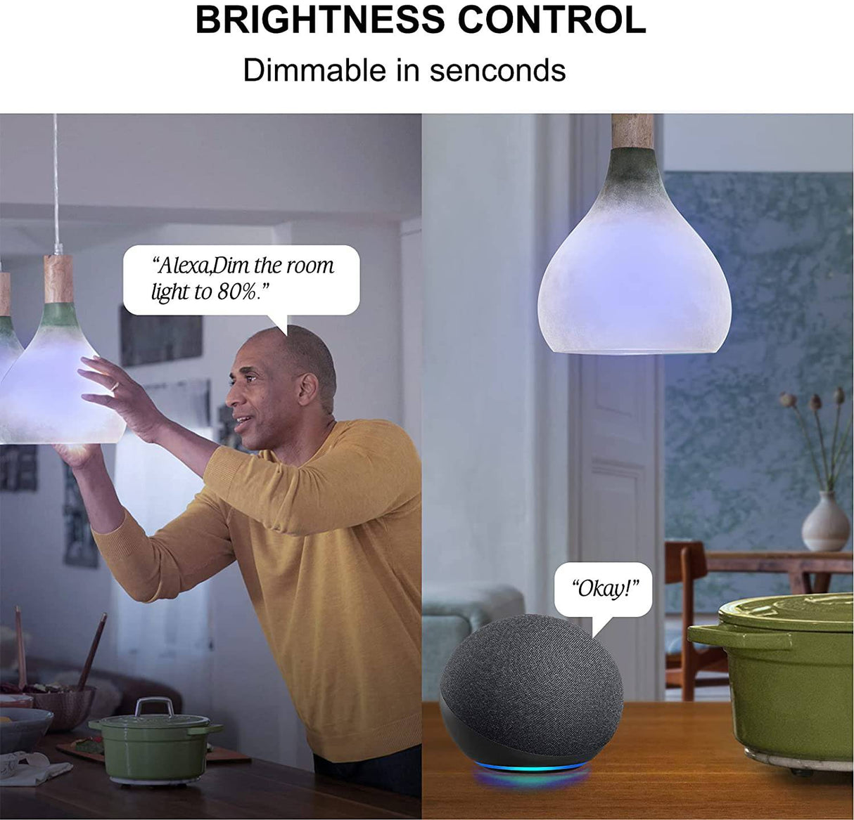 Sengled Bombilla inteligente, bombillas WiFi, bombilla que cambia de color, bombillas inteligentes que funcionan con Alexa y Google Assistant, bombilla Alexa A19 RGB, no requiere concentrador, equivalente a 60 W 800 lm CRI>90, paquete de 4 - DIGVICE MX