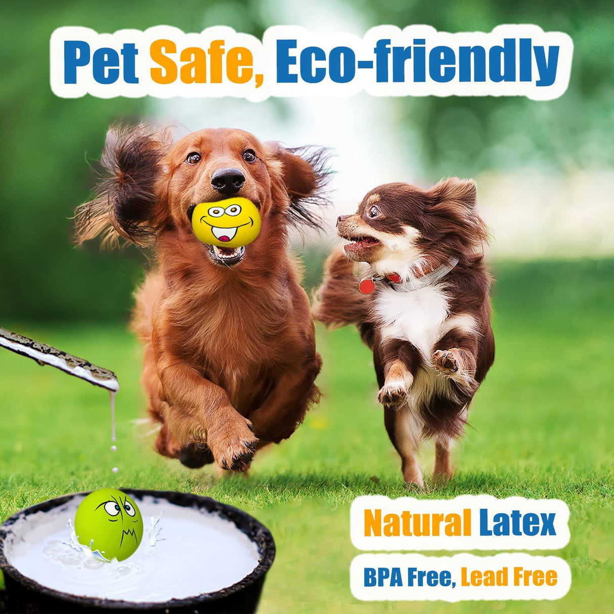 HOLYSTEED Latex Dog Squeaky Toys Rubber Soft Dog Toys Masticar Squeaky Toy Fetch Play Balls Toy para cachorros Mascotas pequeñas Perro 6pcs - DIGVICE MX