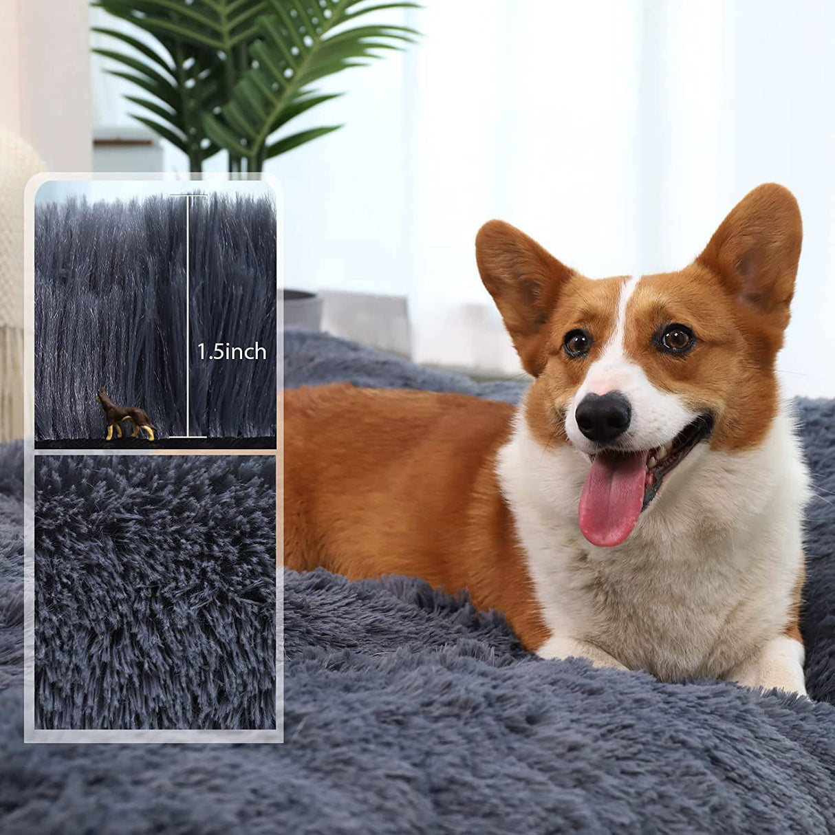 CHAMPETS - Almohadilla para cama de perro, camas para perros grandes, camas suaves de felpa de lujo para mascotas, funda extraíble lavable, alfombrilla resistente al agua para mascotas SMALL - DIGVICE MX