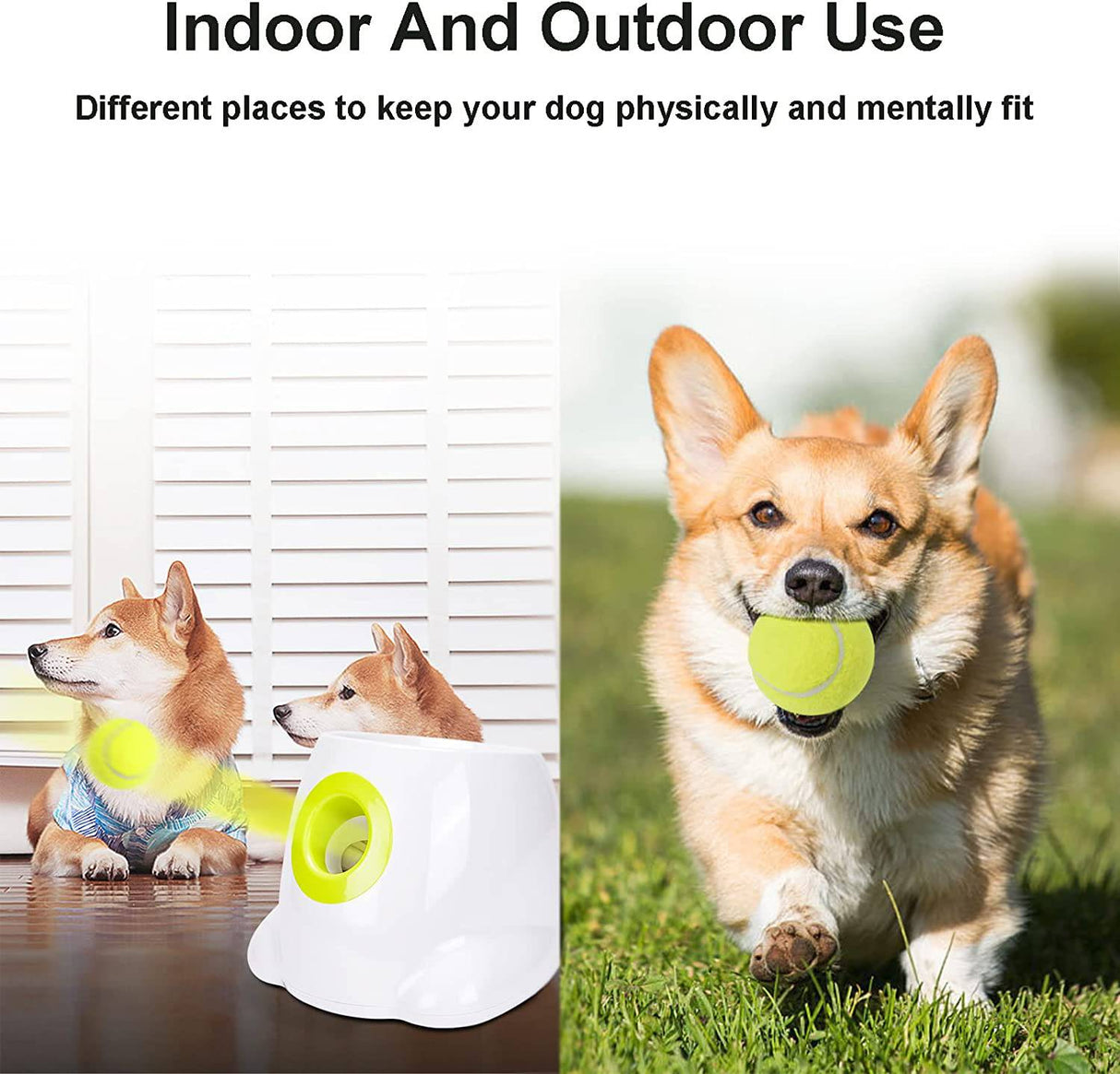 BLELEYLL Lanzador automático de pelotas para perros con 6 pelotas (2 pulgadas), lanzador automático de pelotas para perros, lanzador automático de pelotas de tenis para perros, lanzador de pelotas de tenis para perros pequeños y medianos - DIGVICE MX