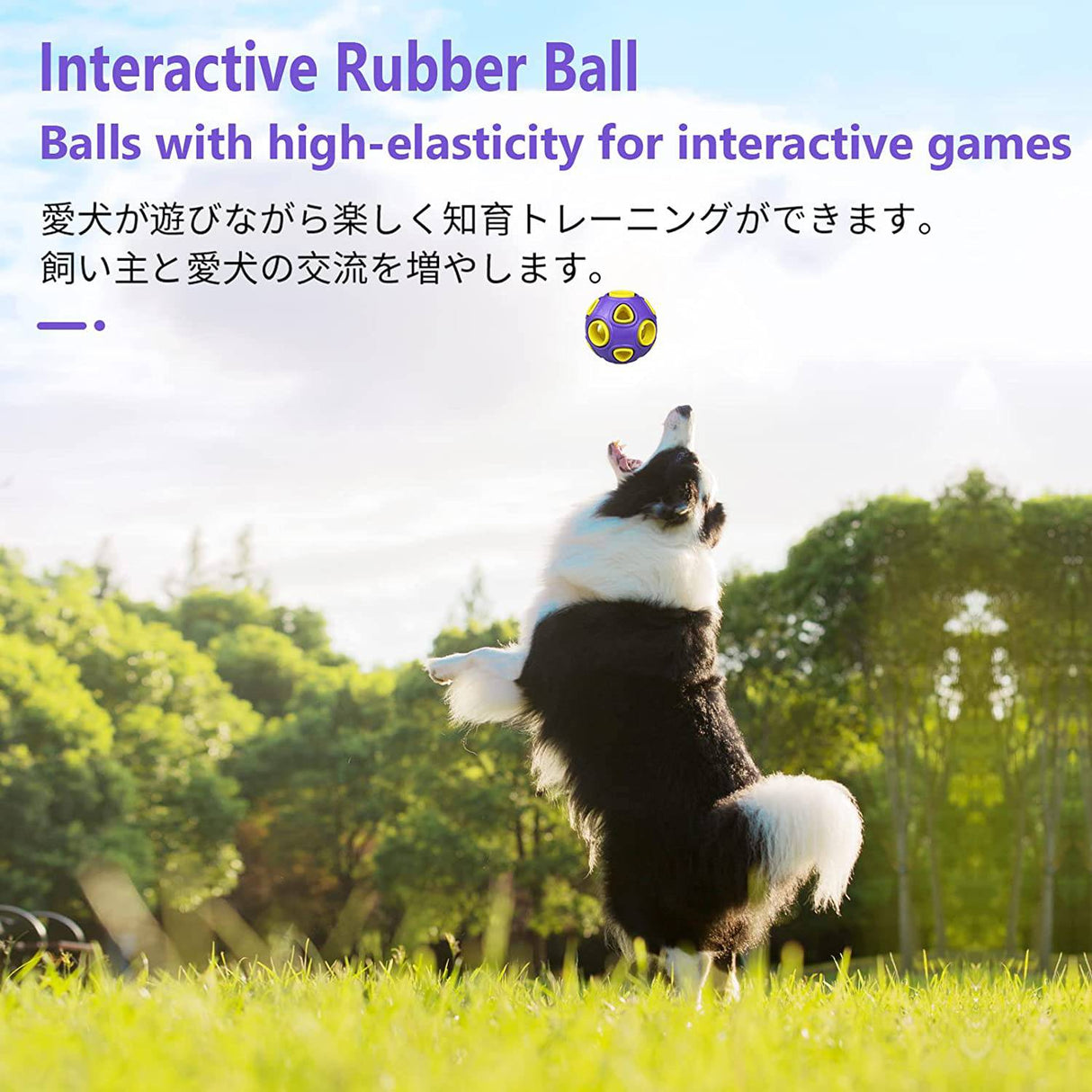 SCHITEC - Pelotas para perros con sonido de campana, pelota hinchable de goma para perros medianos y grandes, juguetes interactivos para masticar mascotas - DIGVICE MX