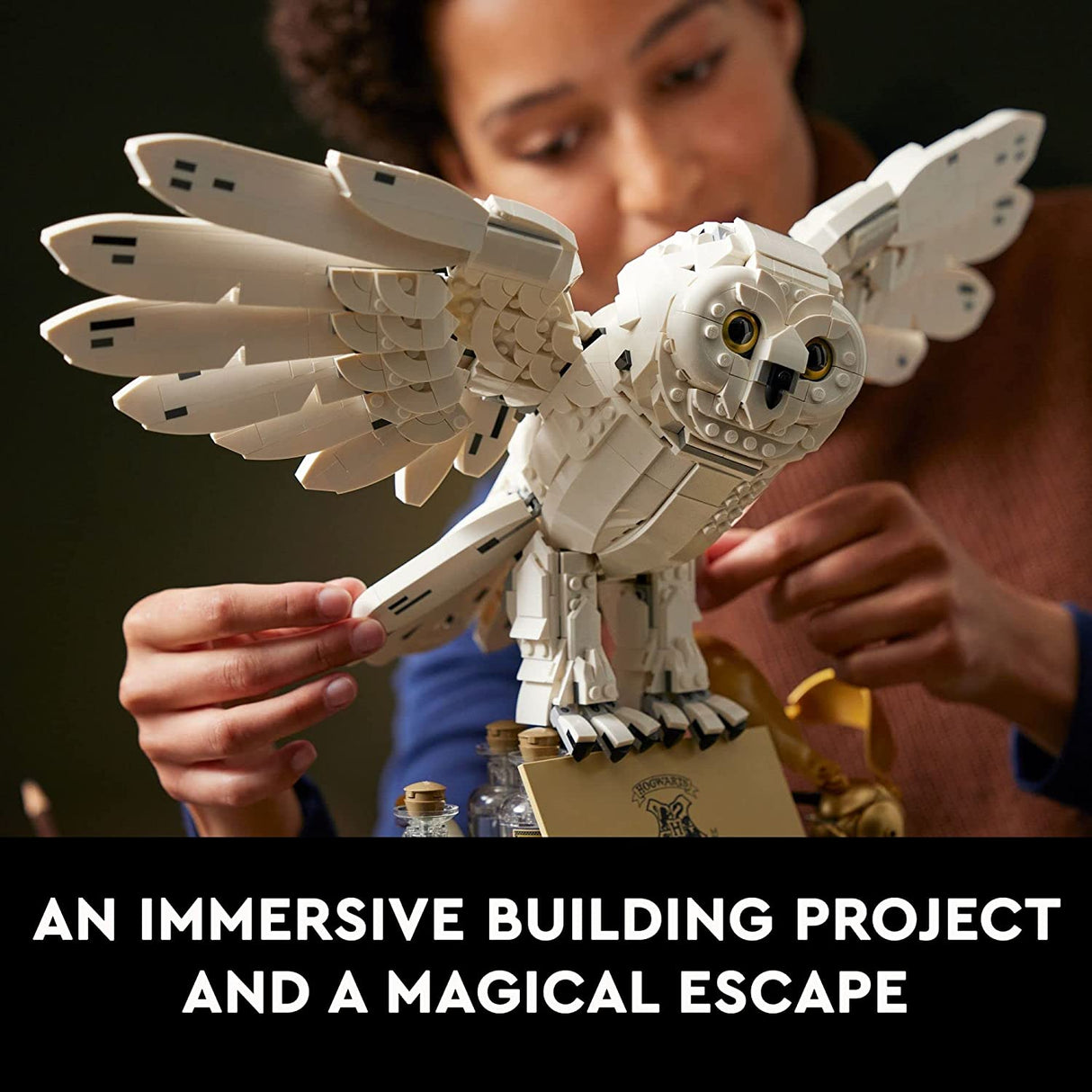 LEGO Harry Potter Hogwarts Iconos - Edición de coleccionista 76391 (3010 piezas)