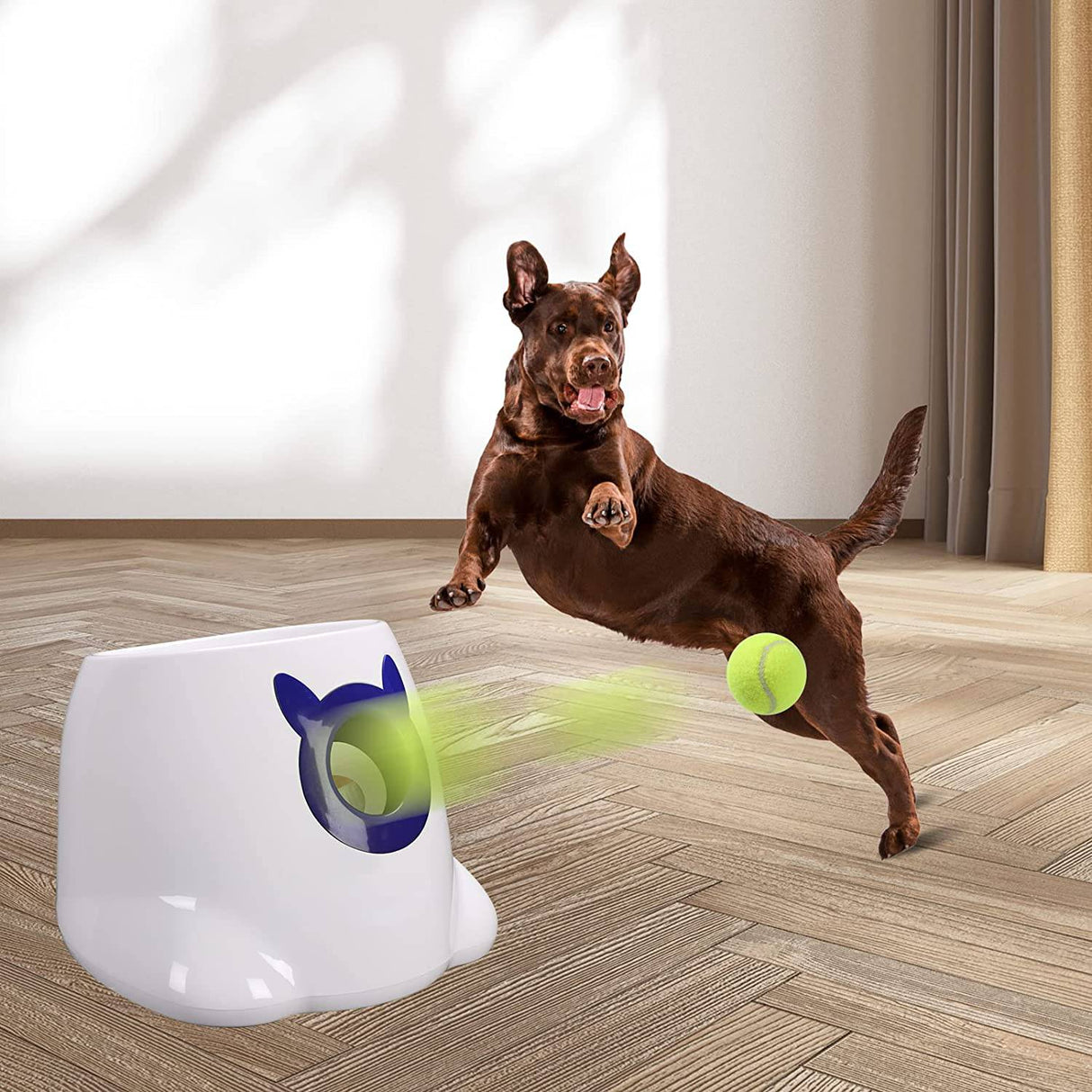 PALULU Lanzador automático de pelotas de juguete para perros, mini lanzador de pelotas de 2 pulgadas para perros pequeños y medianos - DIGVICE MX