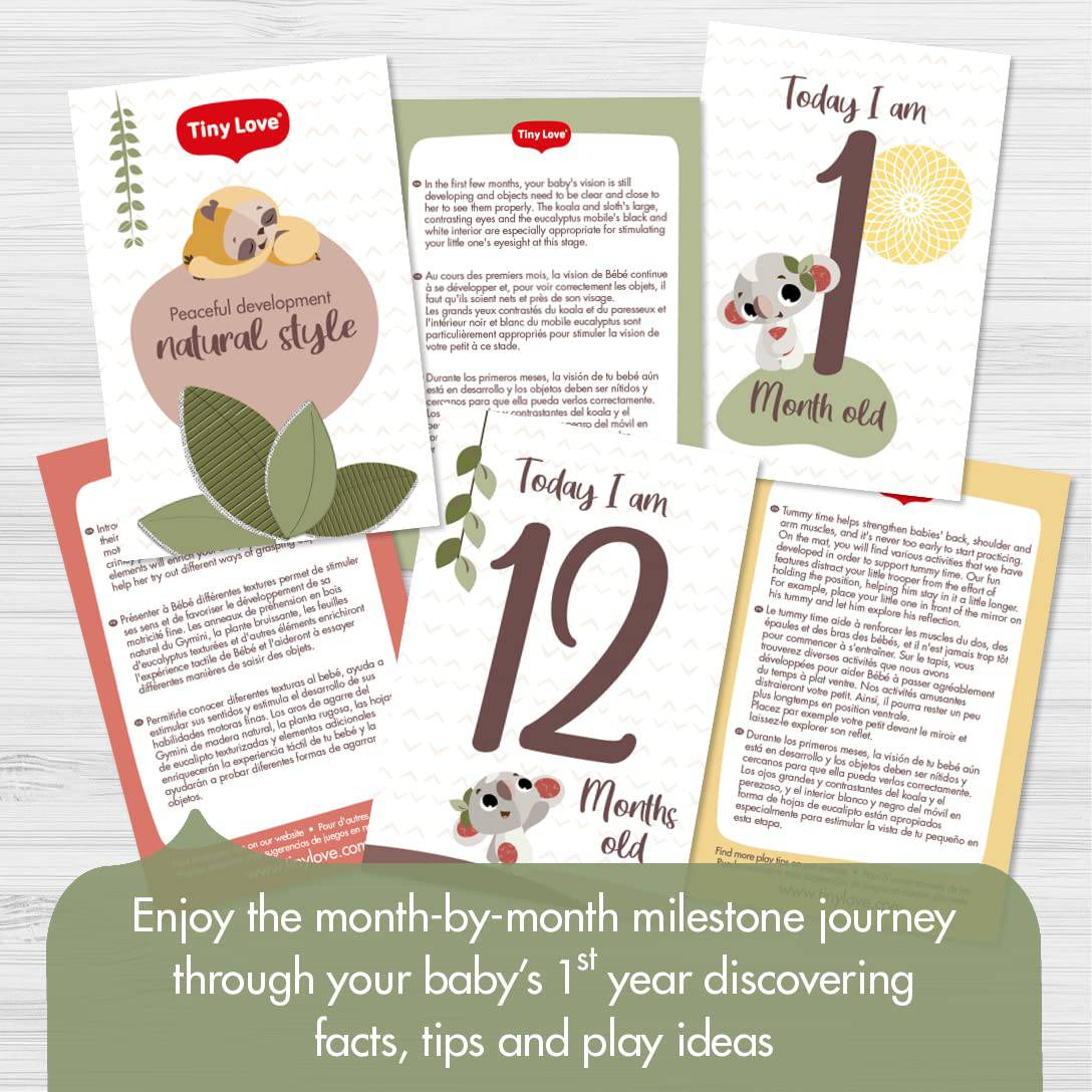 Tiny Love Boho Chic Gymini con espejo y juguetes desmontables, gimnasio de desarrollo y tapete de juegos para bebés, recién nacidos y bebés - DIGVICE MX