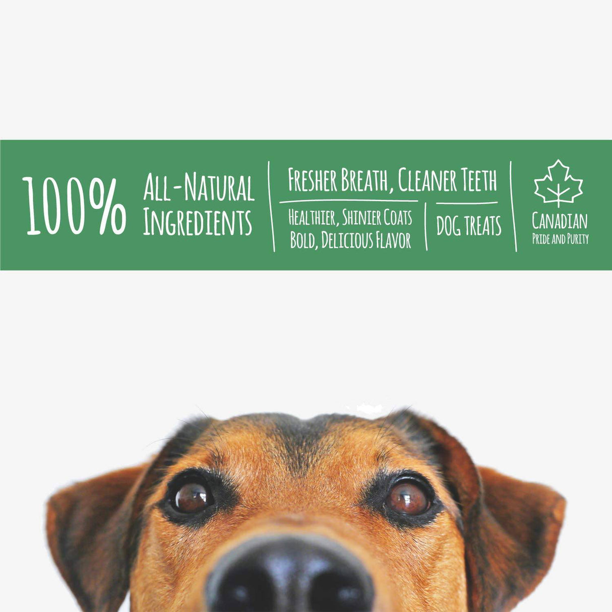 Norpur Golosinas para perros con orejas de cerdo | Snack de entrenamiento natural y saludable | Proteína carnosa, sabor horneado | Promover la salud dental | Hecho en Canadá - DIGVICE MX