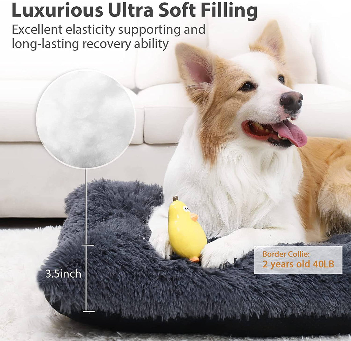 CHAMPETS - Almohadilla para cama de perro, camas para perros grandes, camas suaves de felpa de lujo para mascotas, funda extraíble lavable, alfombrilla resistente al agua para mascotas LARGE - DIGVICE MX