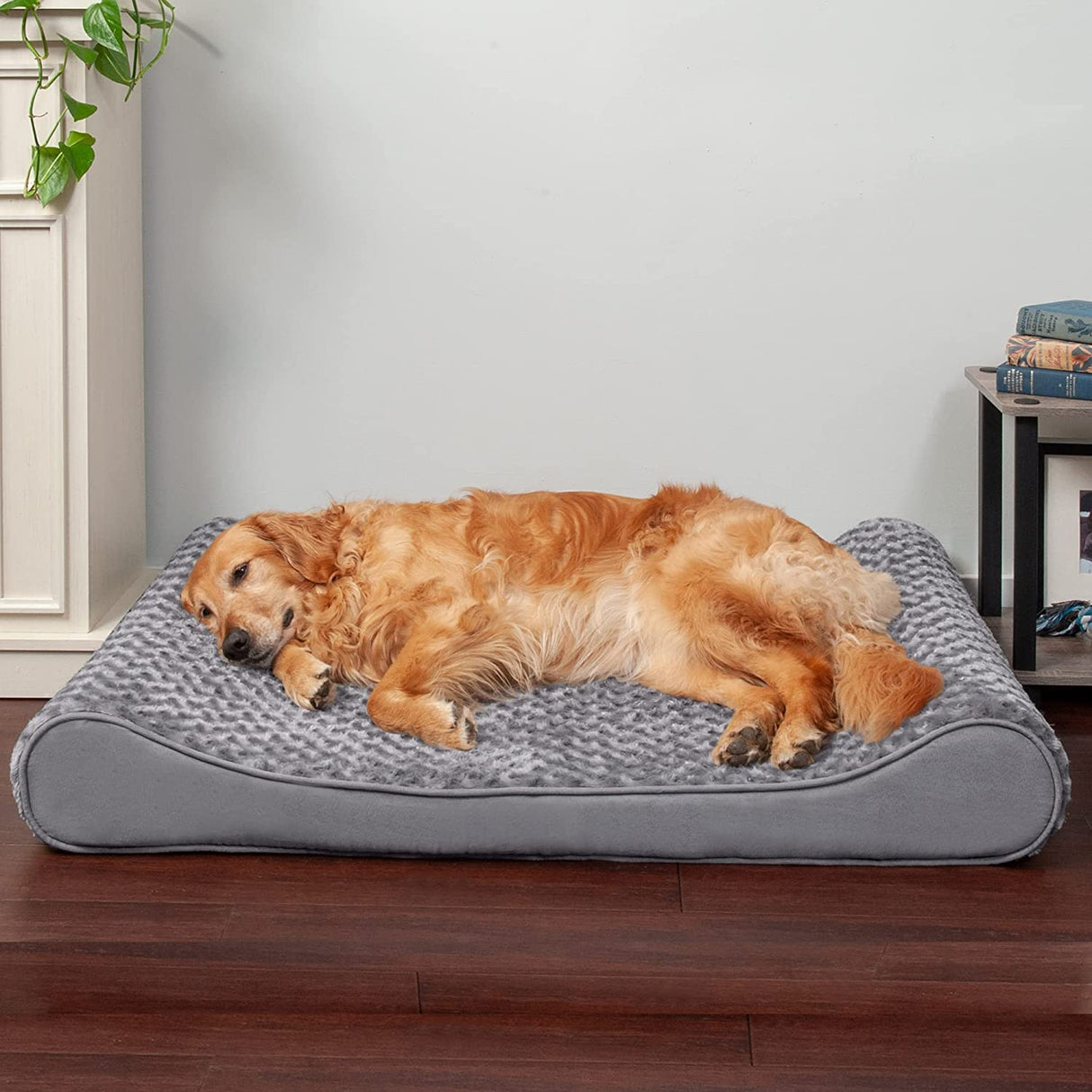 Furhaven Camas ortopédicas, de gel y de espuma viscoelástica para perros pequeños, medianos y grandes - Colchón ergonómico Contour Luxe Lounger para perros y más. JUMBO - DIGVICE MX