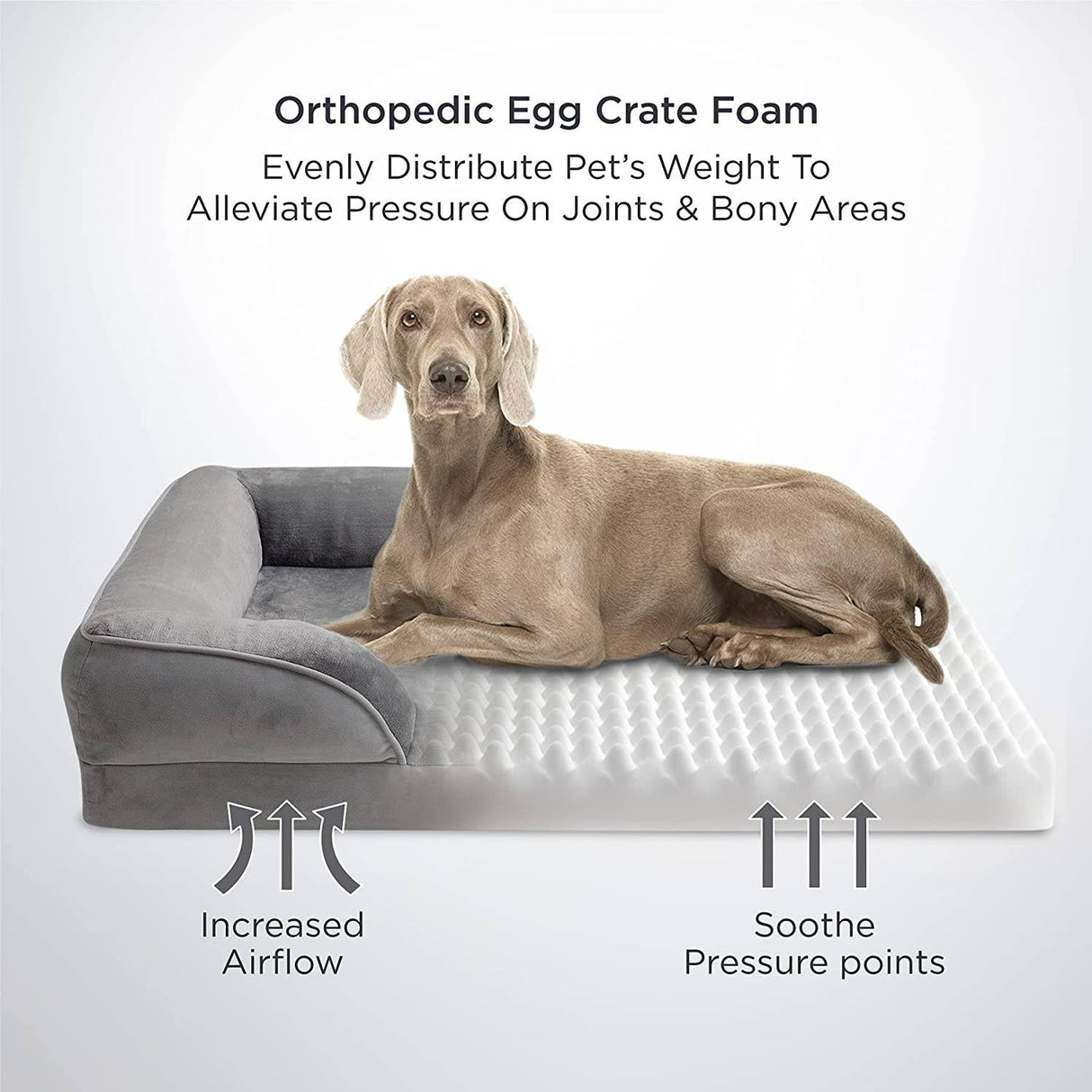 BEDSURE - Cama ortopédica para perro, perros medianas/grandes/extragrandes, sofá de espuma con funda extraíble lavable, forro impermeable y sofá inferior antideslizante - DIGVICE MX