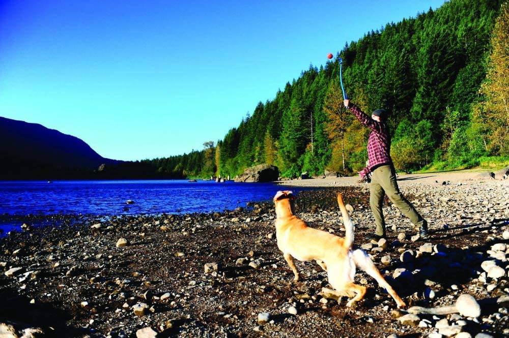 ChuckIt! - Lanzador de pelotas - DIGVICE MX