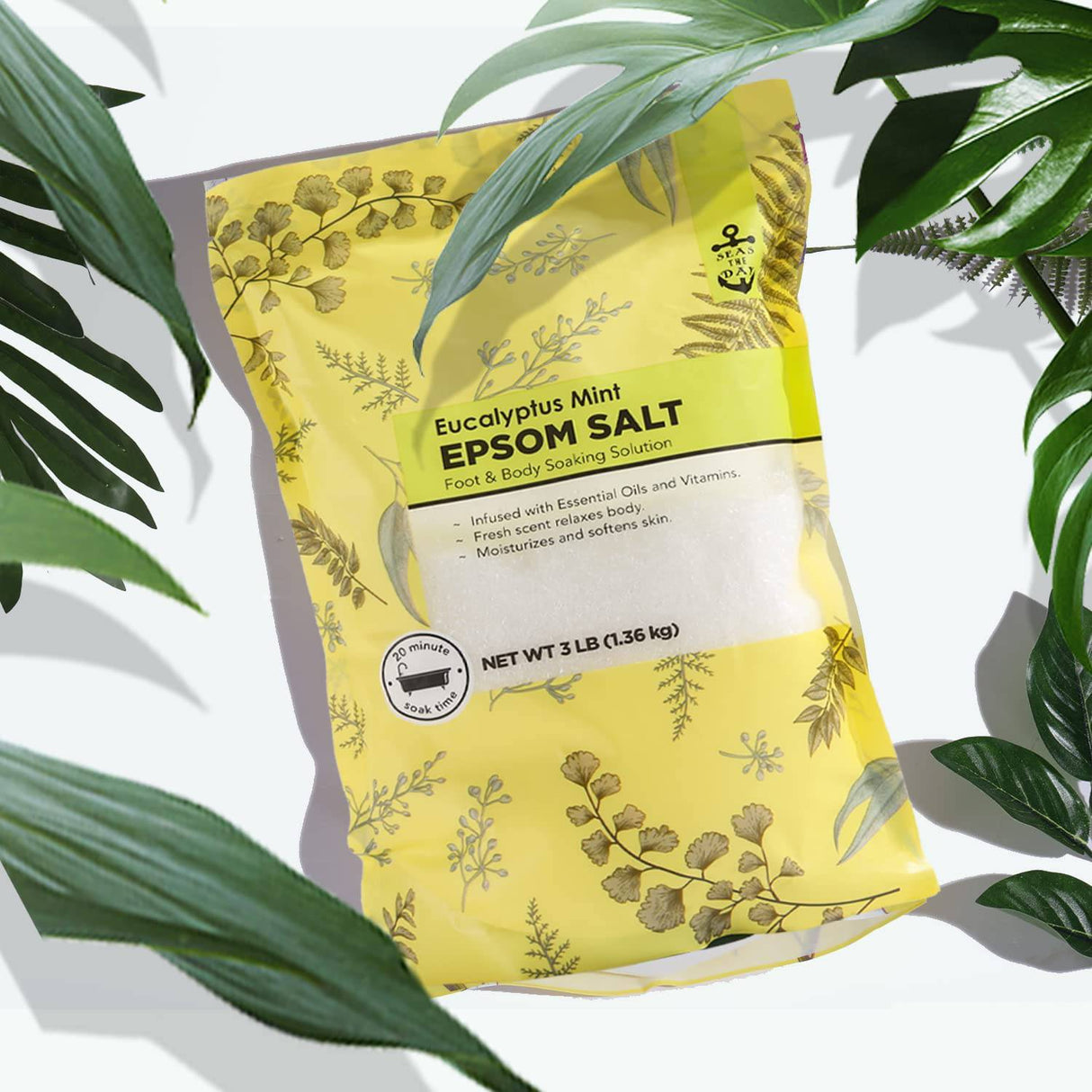 Seas the Day - Sal de Epsom para remojo, sales de baño con lavanda y coco y aroma de menta Eucalyplus 3 lb, juego de spa a granel de sales de Epsom para mujeres relajantes 3 lb x 3 piezas