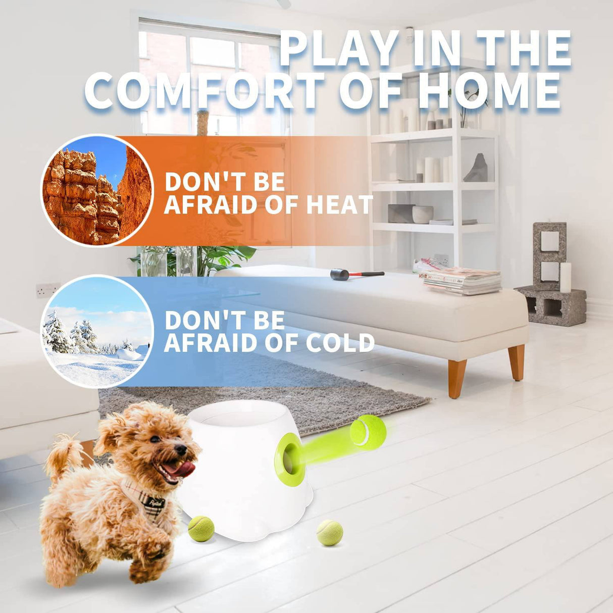 AFP Lanzador automático de pelotas para perros Cachorros interactivos Pelota para mascotas Máquina lanzadora de interior Máquina para perros pequeños y medianos, 3 bolas incluidas (2 pulgadas) - DIGVICE MX