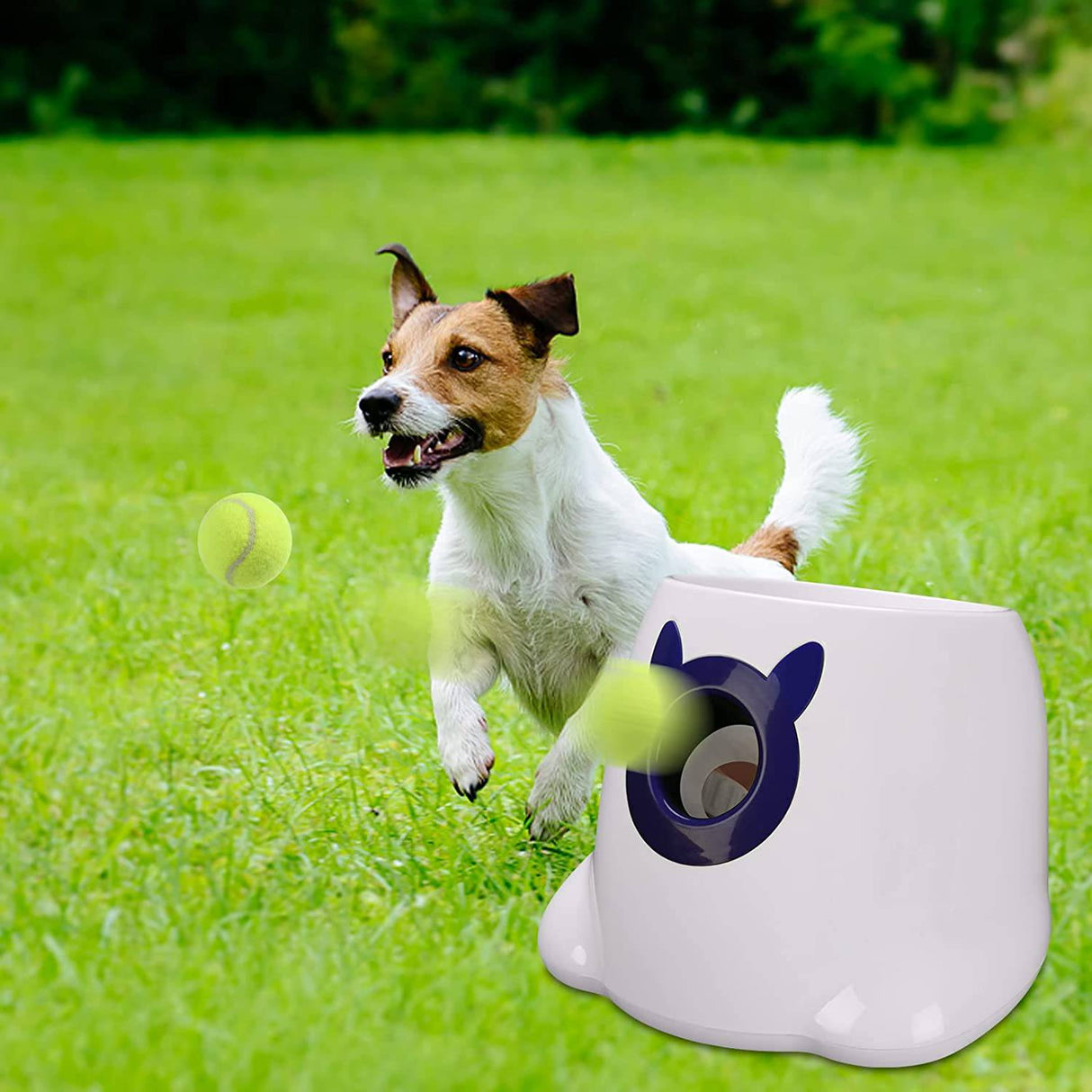 PALULU Lanzador automático de pelotas de juguete para perros, mini lanzador de pelotas de 2 pulgadas para perros pequeños y medianos - DIGVICE MX