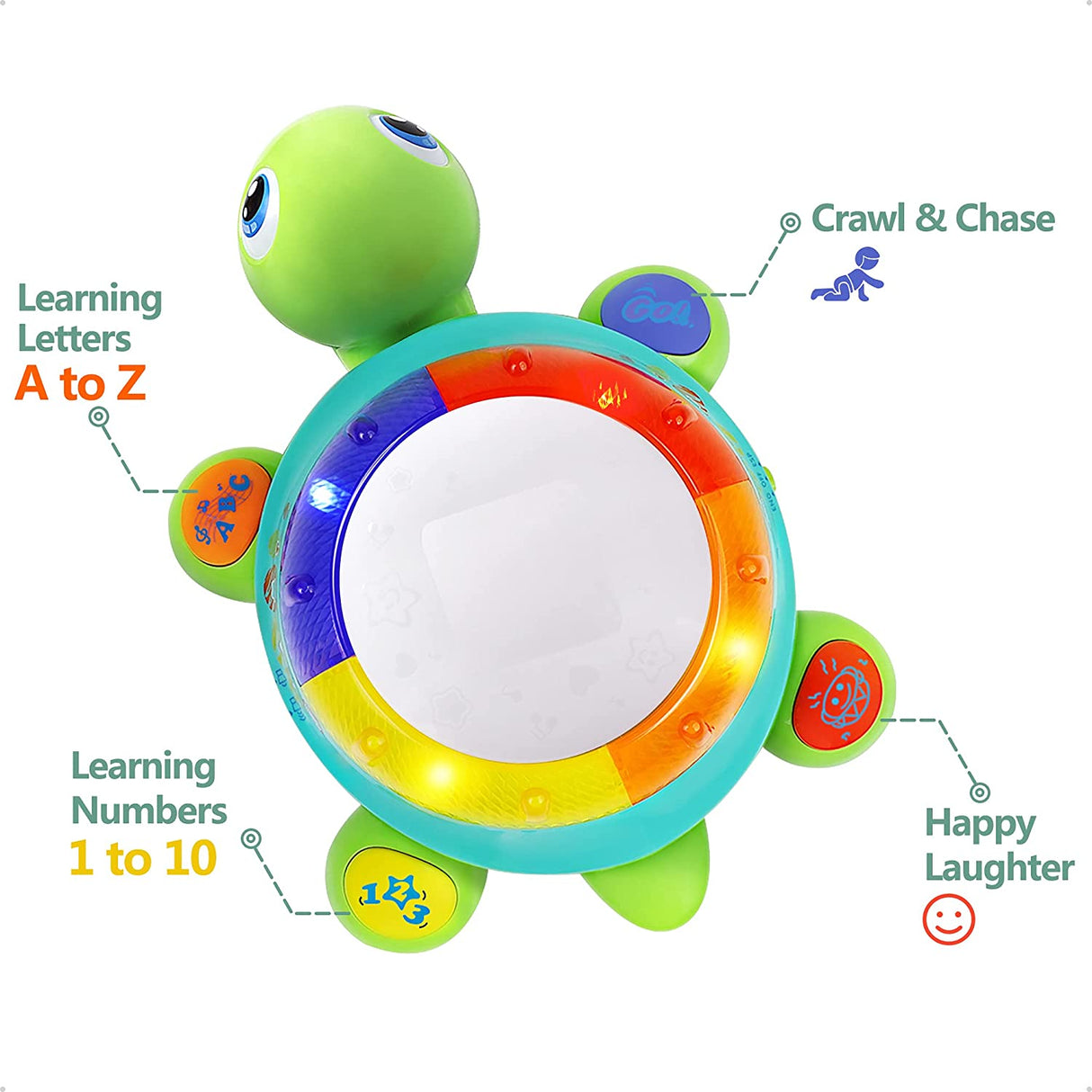 iPlay, iLearn Baby Musical Turtle Toy, Español Inglés Aprendizaje bilingüe, Juguetes para gatear para niños pequeños - B0792MVKQX