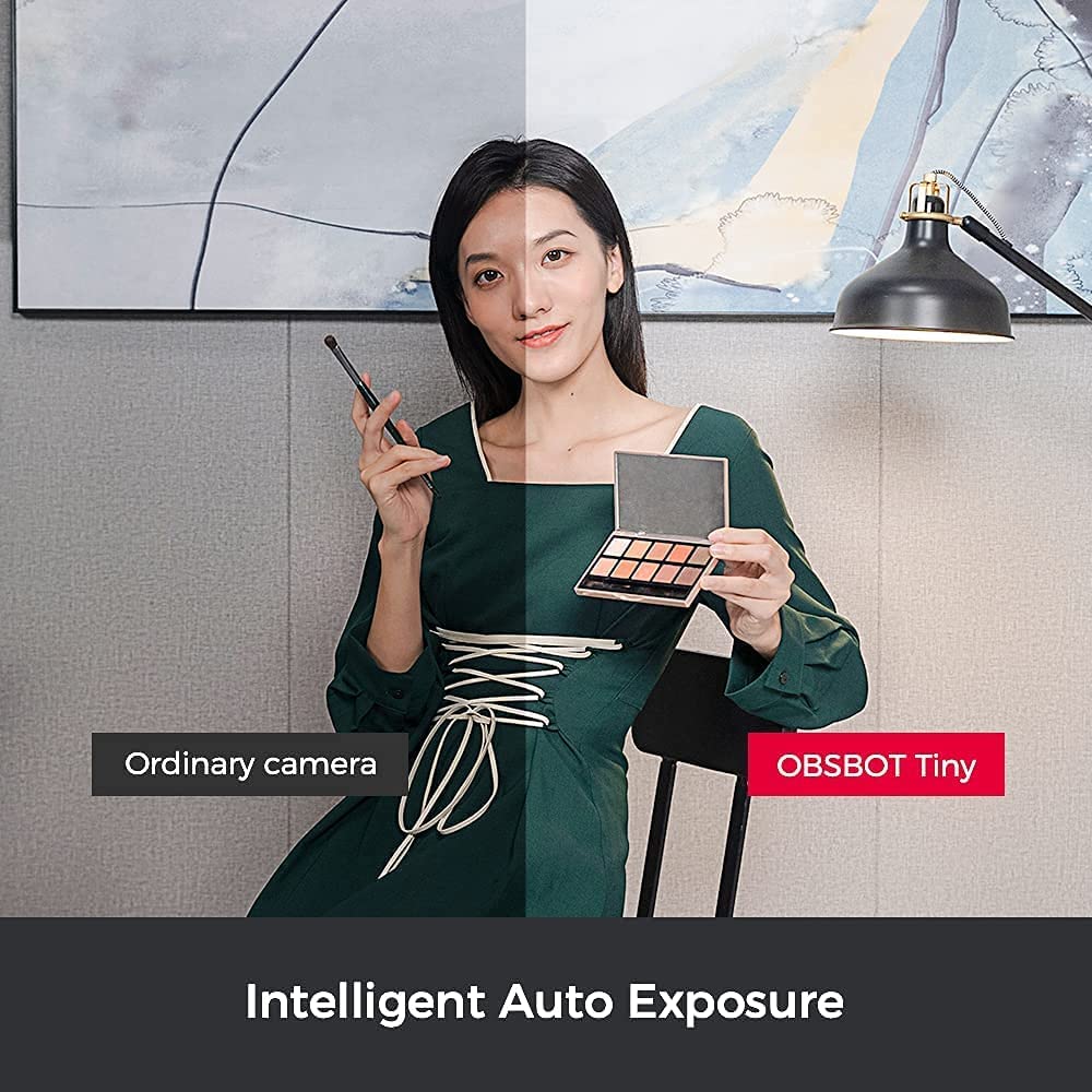 Cámara web OBSBOT Tiny PTZ, control de gestos y encuadre alimentado por IA, cámara web Full HD 1080p para videoconferencia, gran angular de 90 grados, corrección de poca luz
