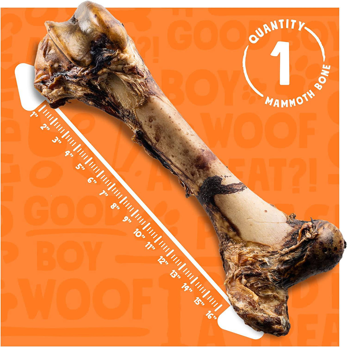 JollyBarks Mammoth hueso grande para perro de 16 pulgadas, masticables premium para perros masticadores agresivos, perros grandes, saludables de larga duración, todos los huesos naturales para perros, hueso gigante para perros (1 hueso) - DIGVICE MX