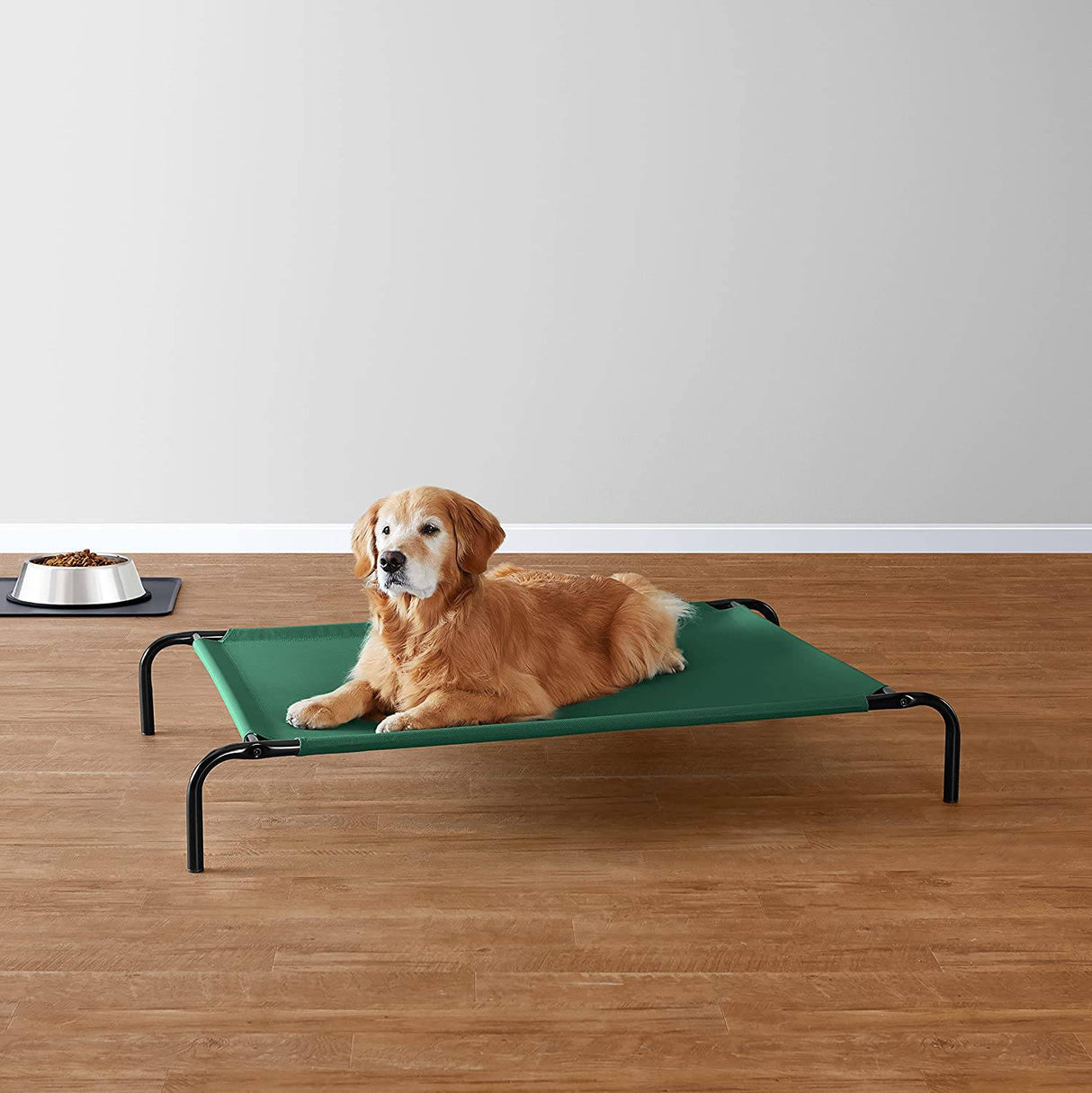 Amazon Basics Cama elevada para mascotas Large - DIGVICE MX