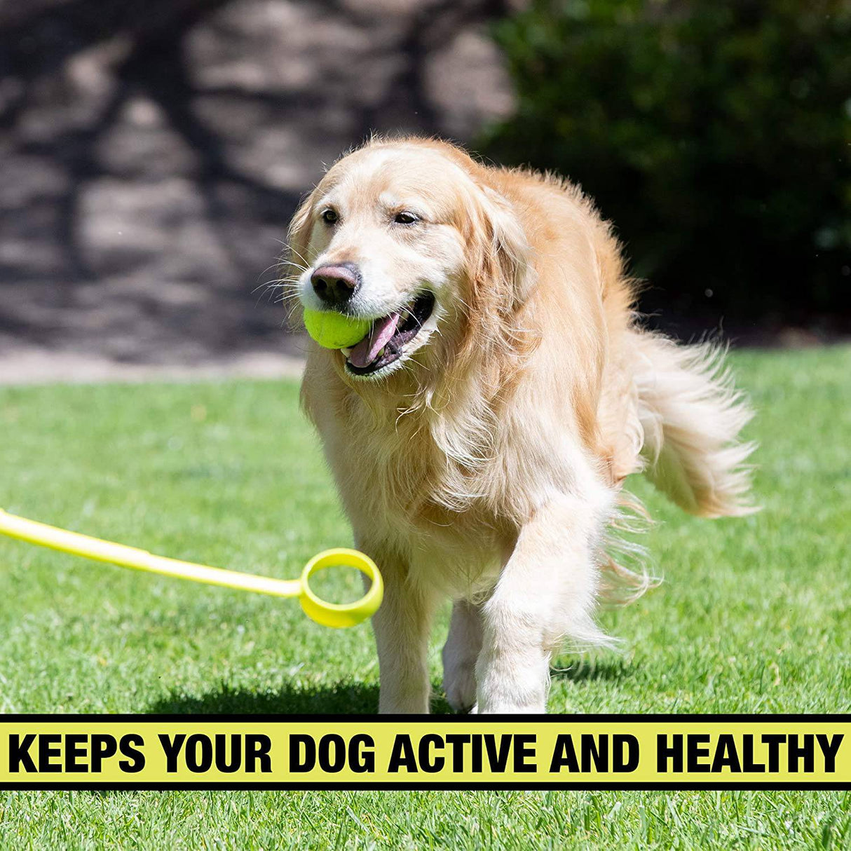 Hyper Pet Dog Ball Launcher, Dog Ball Thrower-Juguetes interactivos para perros (cargar y lanzar pelotas de tenis para que los perros las busquen) - DIGVICE MX