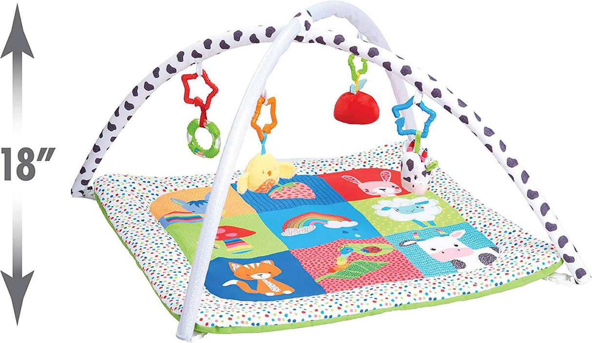 Early Learning Centre Blossom Farm Playmat & Arch, desarrollo físico, coordinación mano-ojo, estimula los sentidos, juguetes para bebés de más de 0 meses, de Just Play - DIGVICE MX