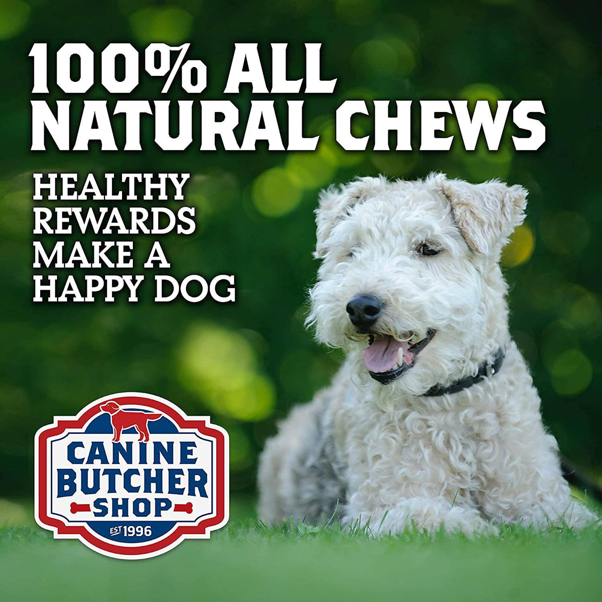 CANINE BUTCHER - Criada y fabricada en EE. UU. Orejas de cerdo para perros, golosina masticable de cerdo totalmente natural y digerible - DIGVICE MX