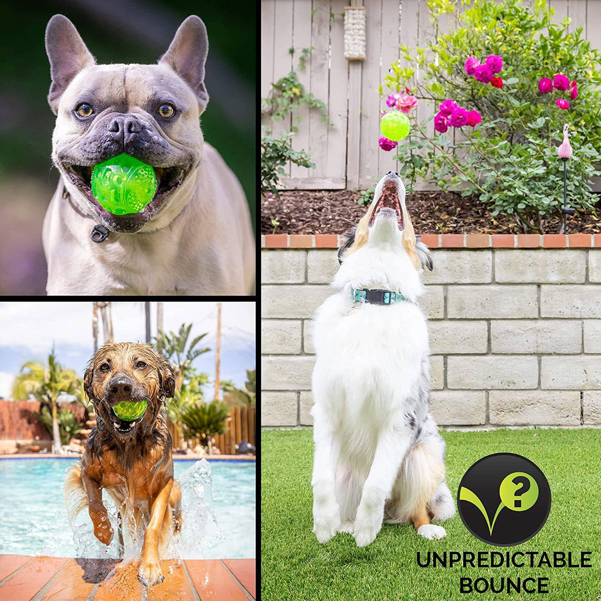 Hyper Pet DuraSqueak Dog Ball Juguetes para perros (juguetes interactivos para perros que flotan y chirrían) - DIGVICE MX