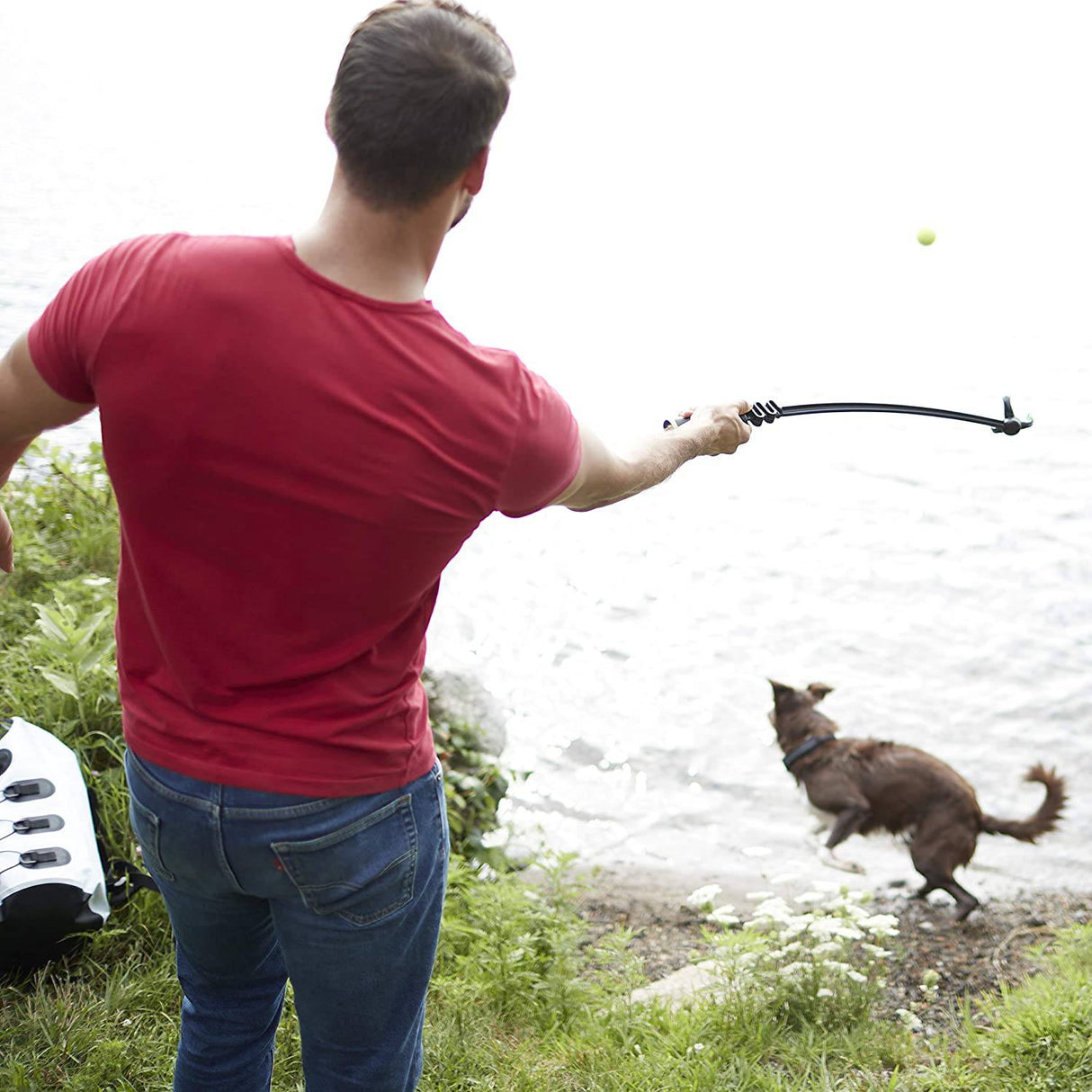 Franklin Pet Supply Lanzador de pelotas de tenis para perros - DIGVICE MX