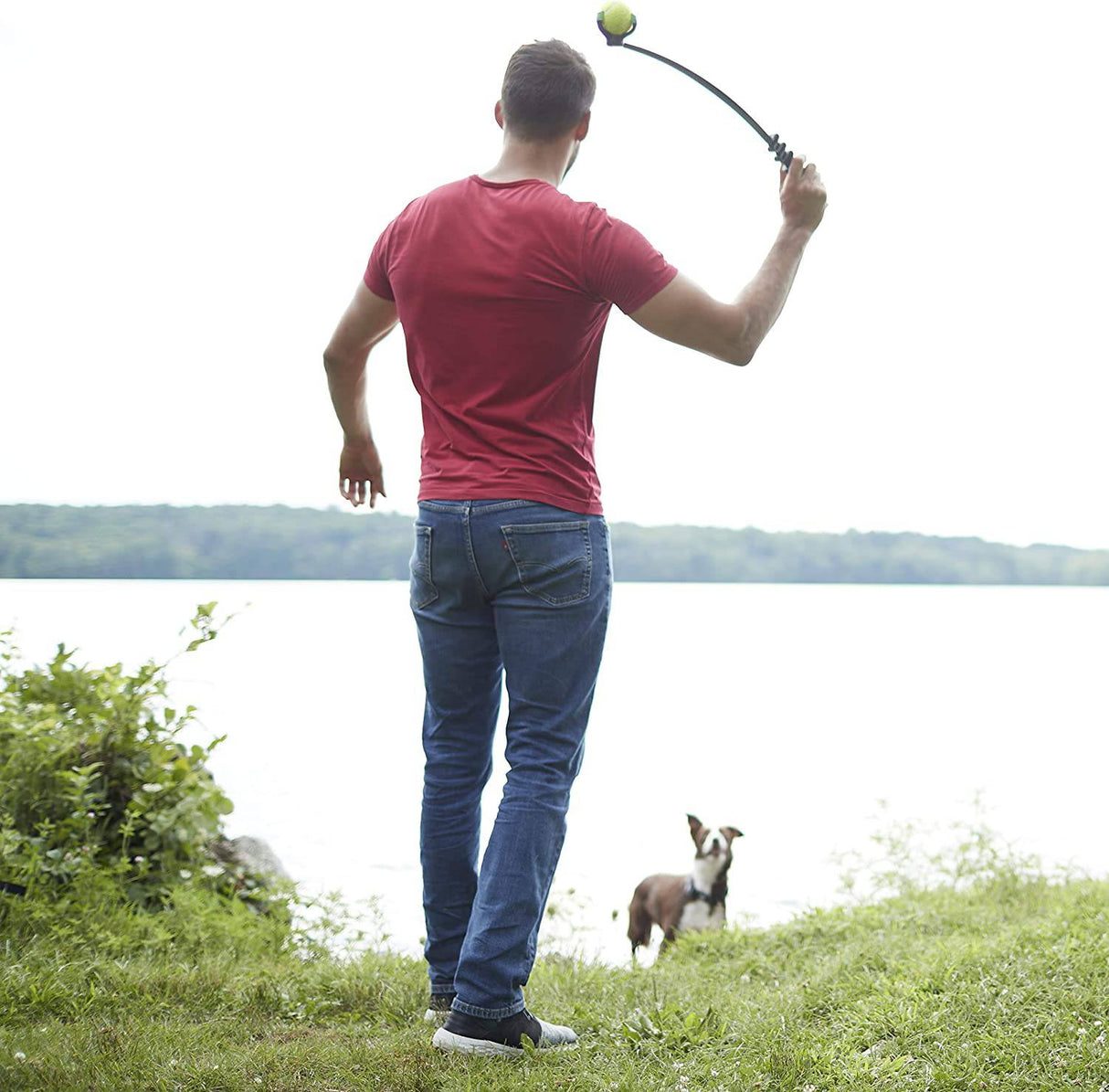 Franklin Pet Supply Lanzador de pelotas de tenis para perros - DIGVICE MX
