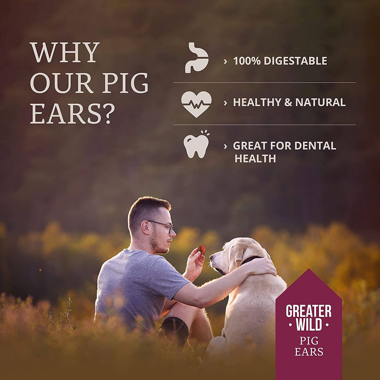 Greater Wild - Orejas de cerdo para perros, golosinas para perros, un solo ingrediente, todo natural, masticables para perros de larga duración para perros grandes y pequeños, 100 % digeribles - DIGVICE MX