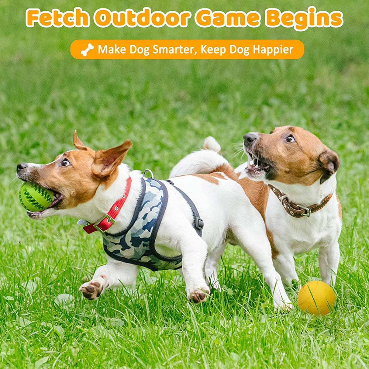 HIPPIH - Juguetes interactivos para perros cachorros, paquete de 2, juguetes de rompecabezas, pelotas, juguetes para perros dispensadores de golosinas - DIGVICE MX